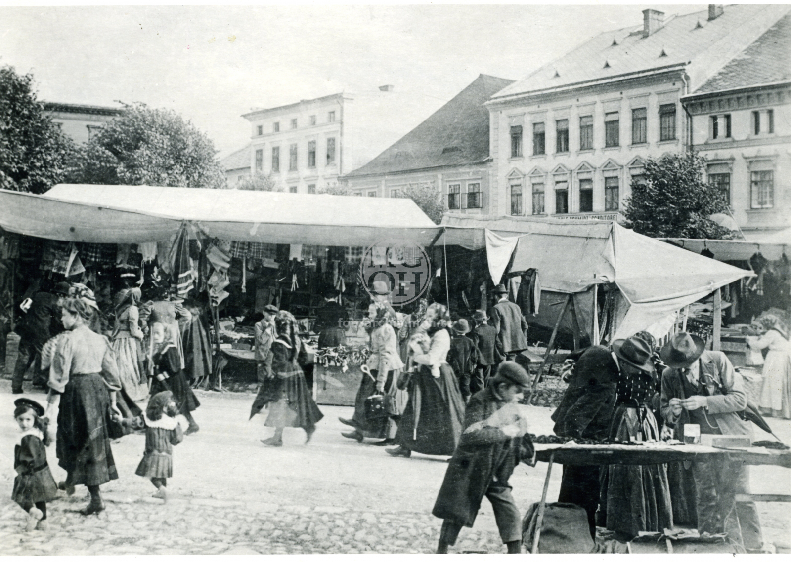 Fotografie - Králický trh