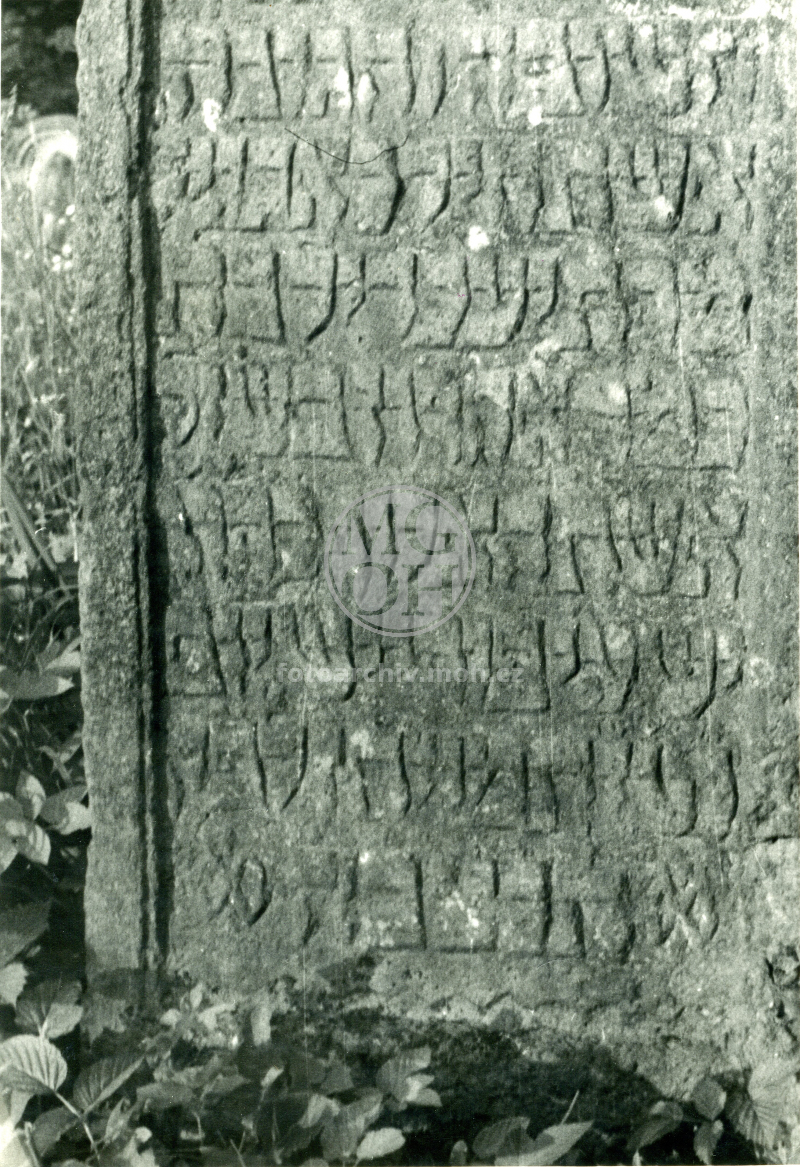 Fotografie - Židovský hřbitov