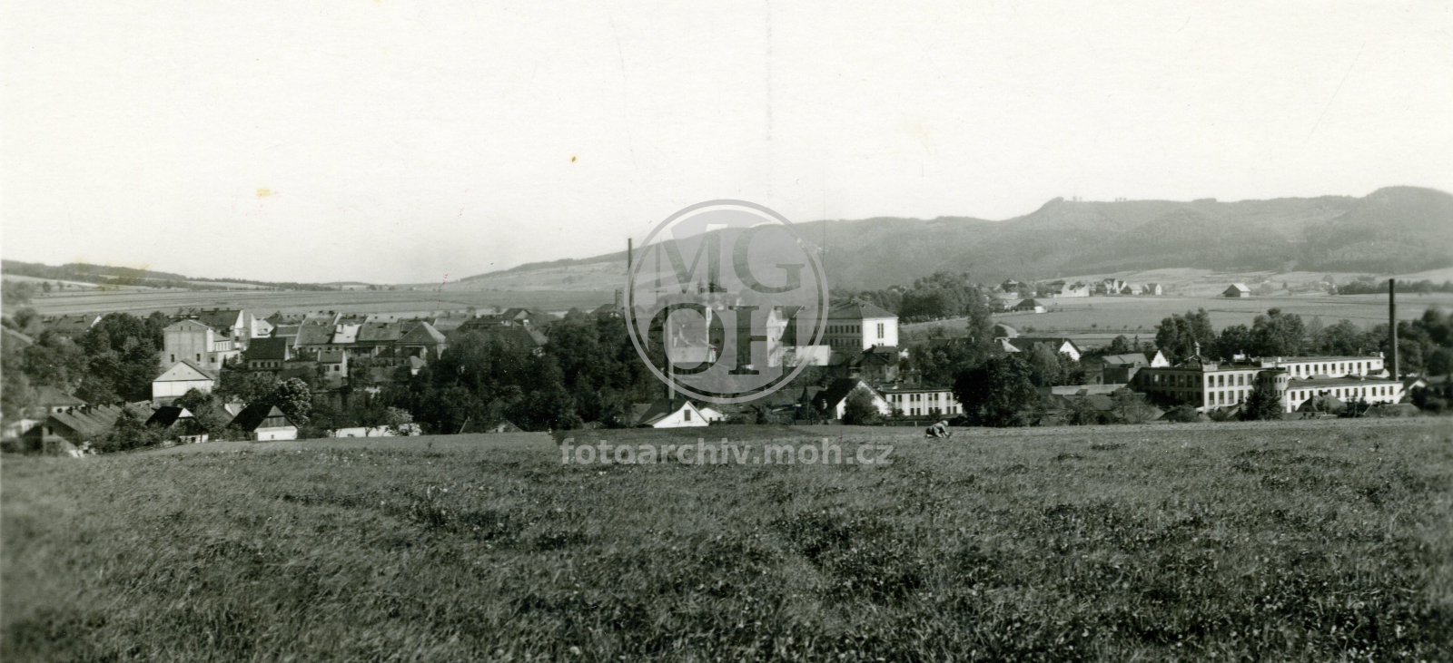 Fotografie - Pohled od Lupenice