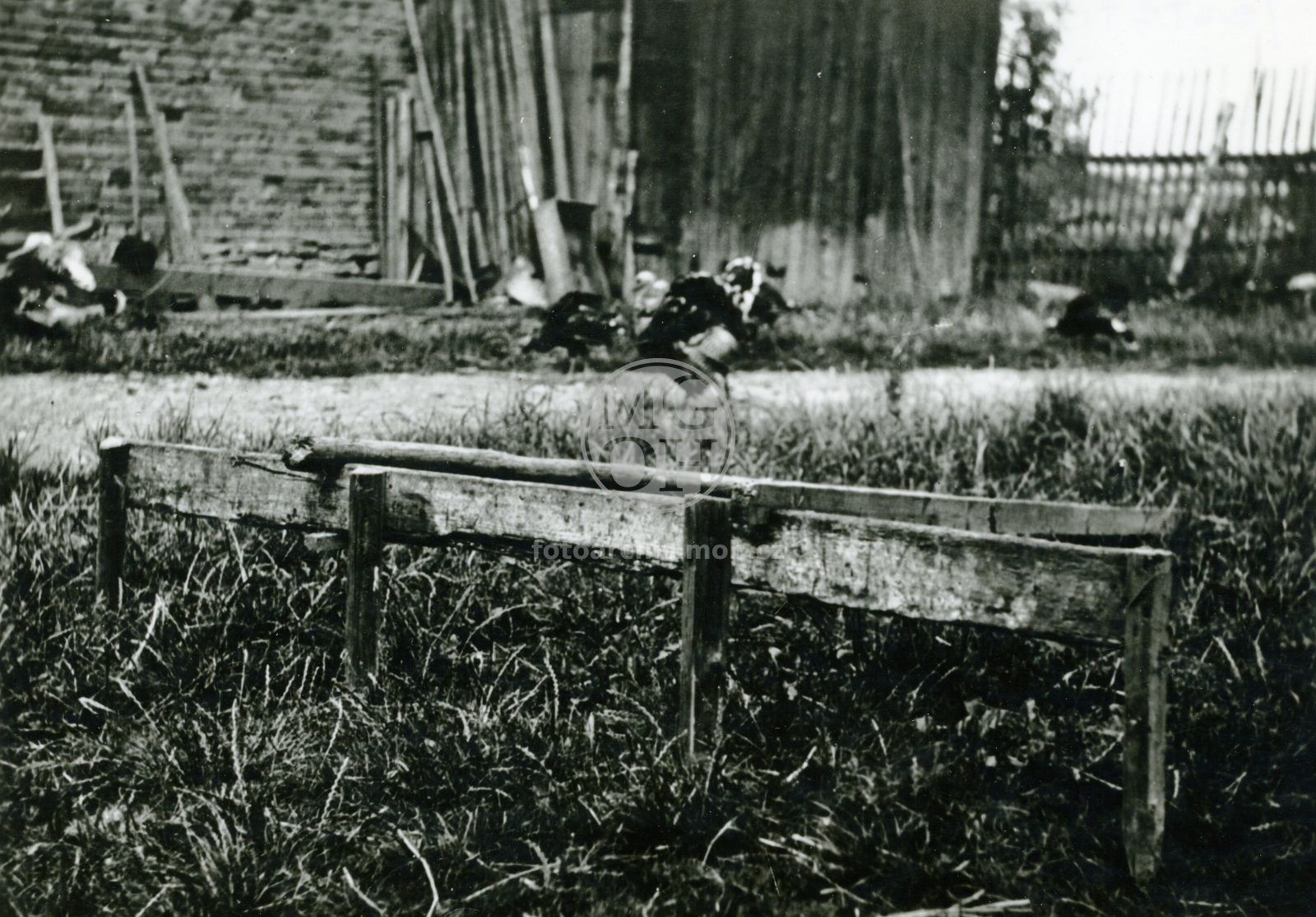 Fotografie - Znamenák