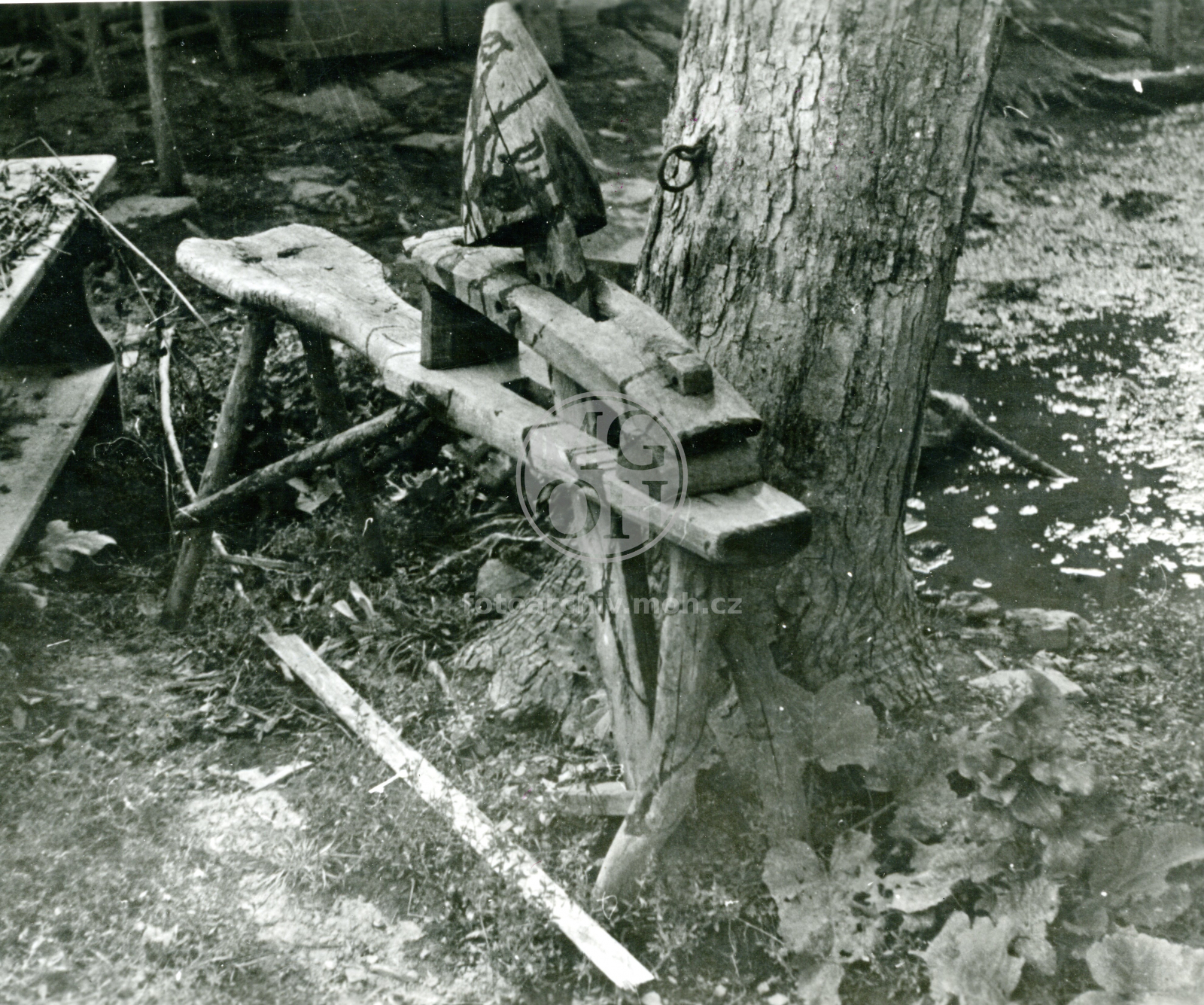 Fotografie - Obřeznice