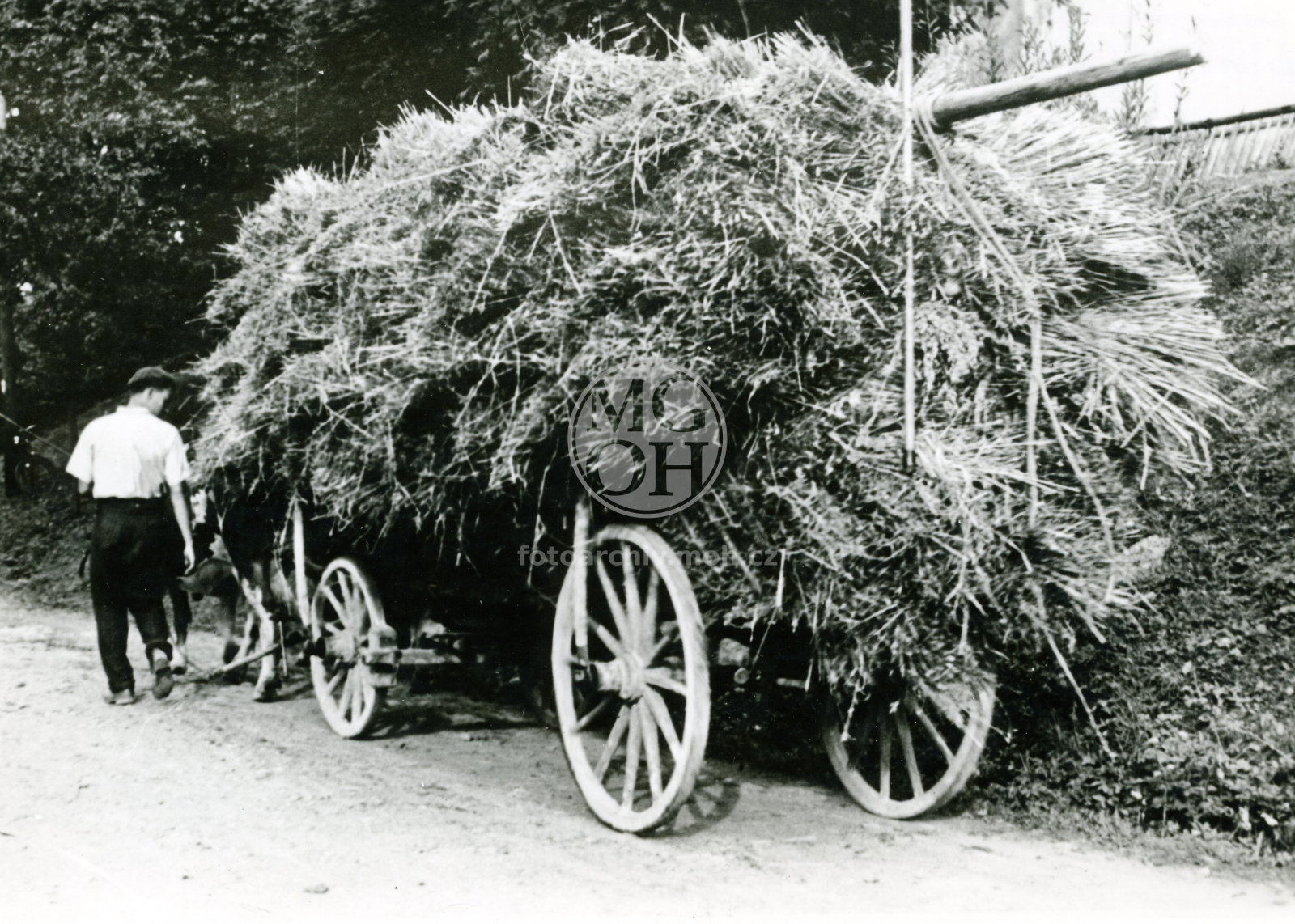 Fotografie - Upoutání nákladu slámy na vůz