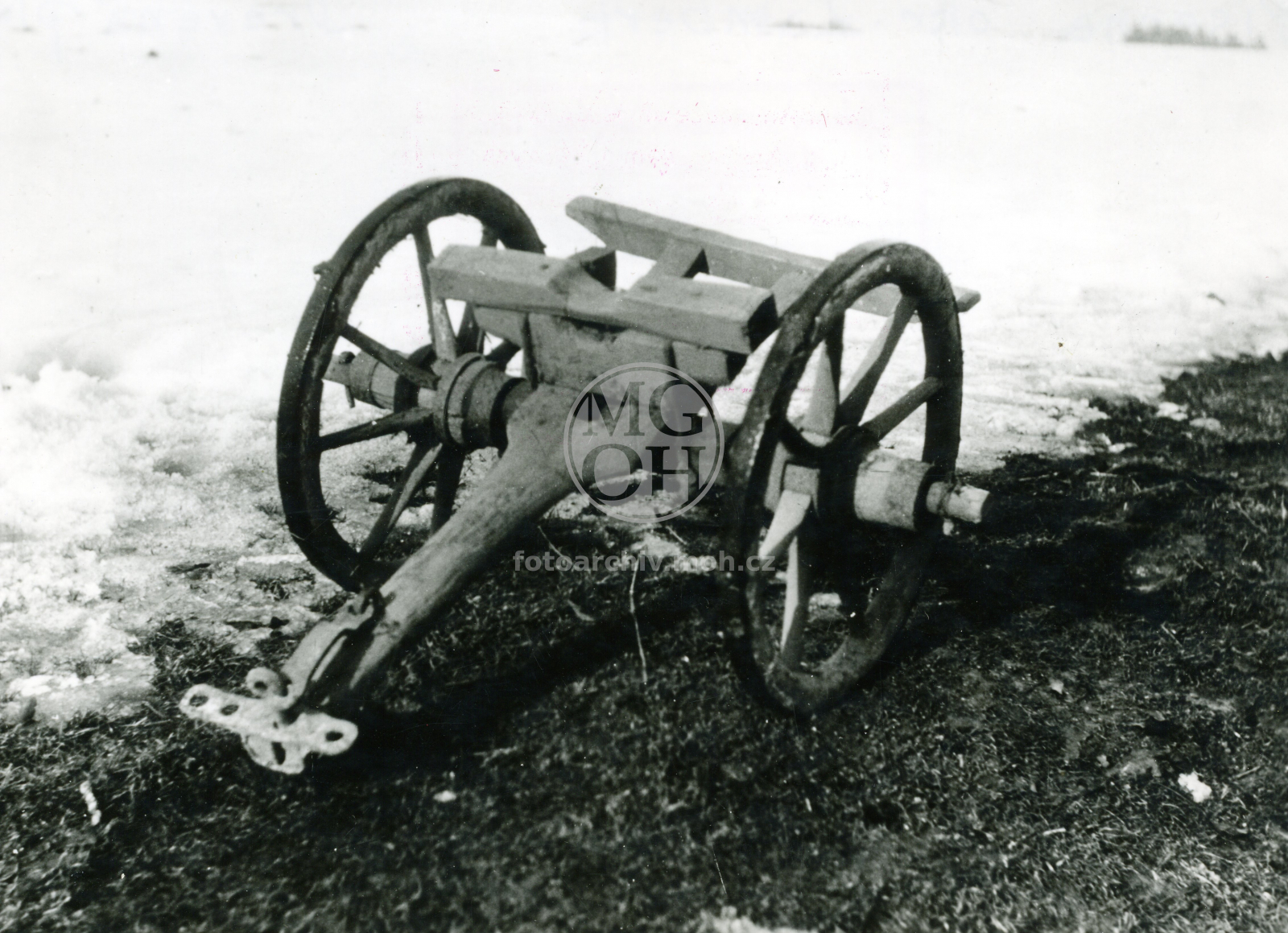 Fotografie - Dřevěná plužňata