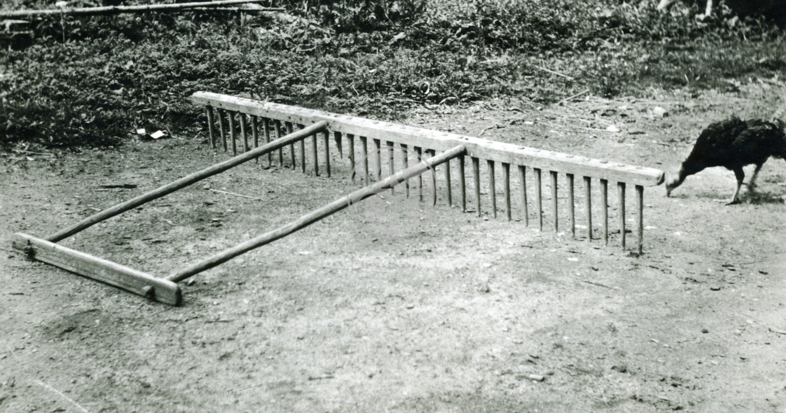 Fotografie - Pohrabáč 2 m šíře