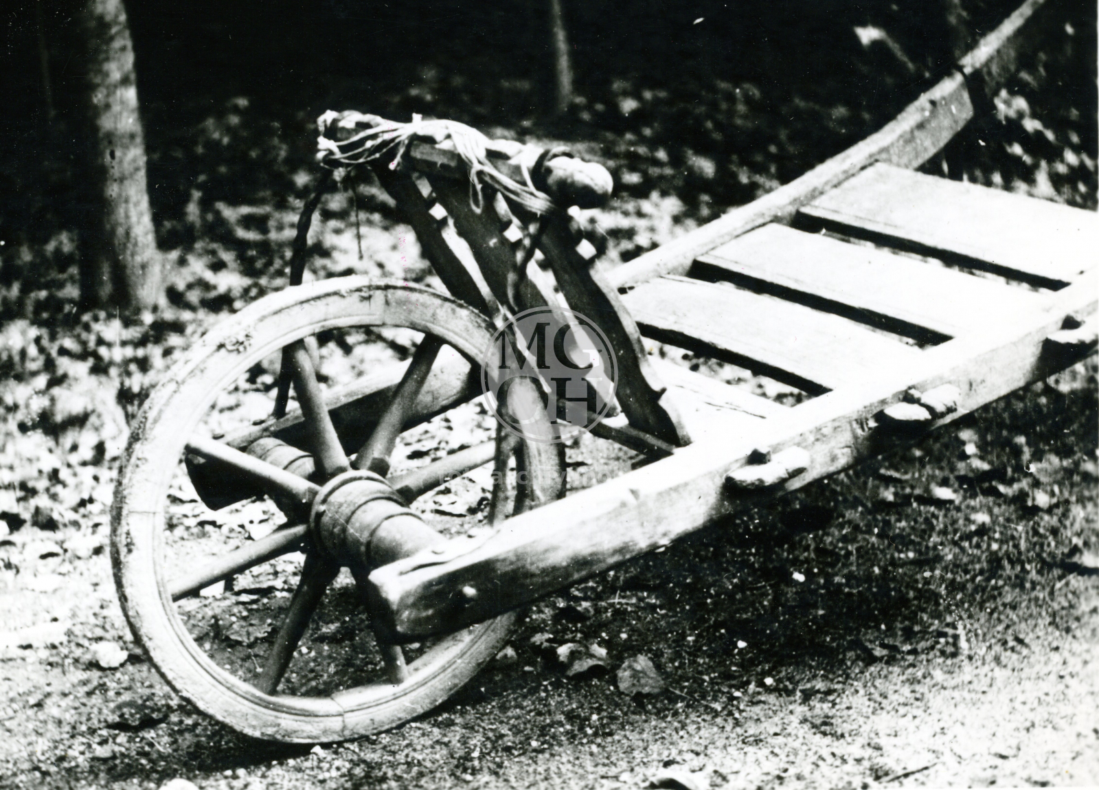 Fotografie - Trakar (detail)