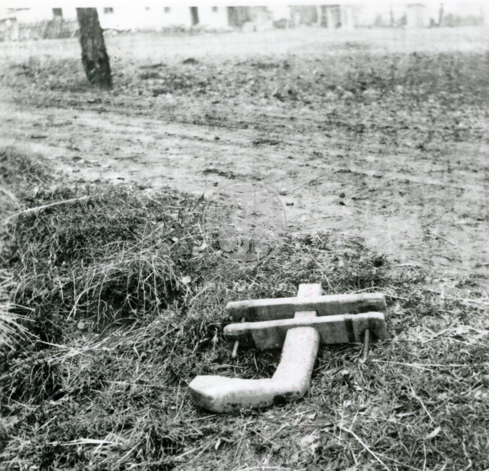 Fotografie - Křinka k háku