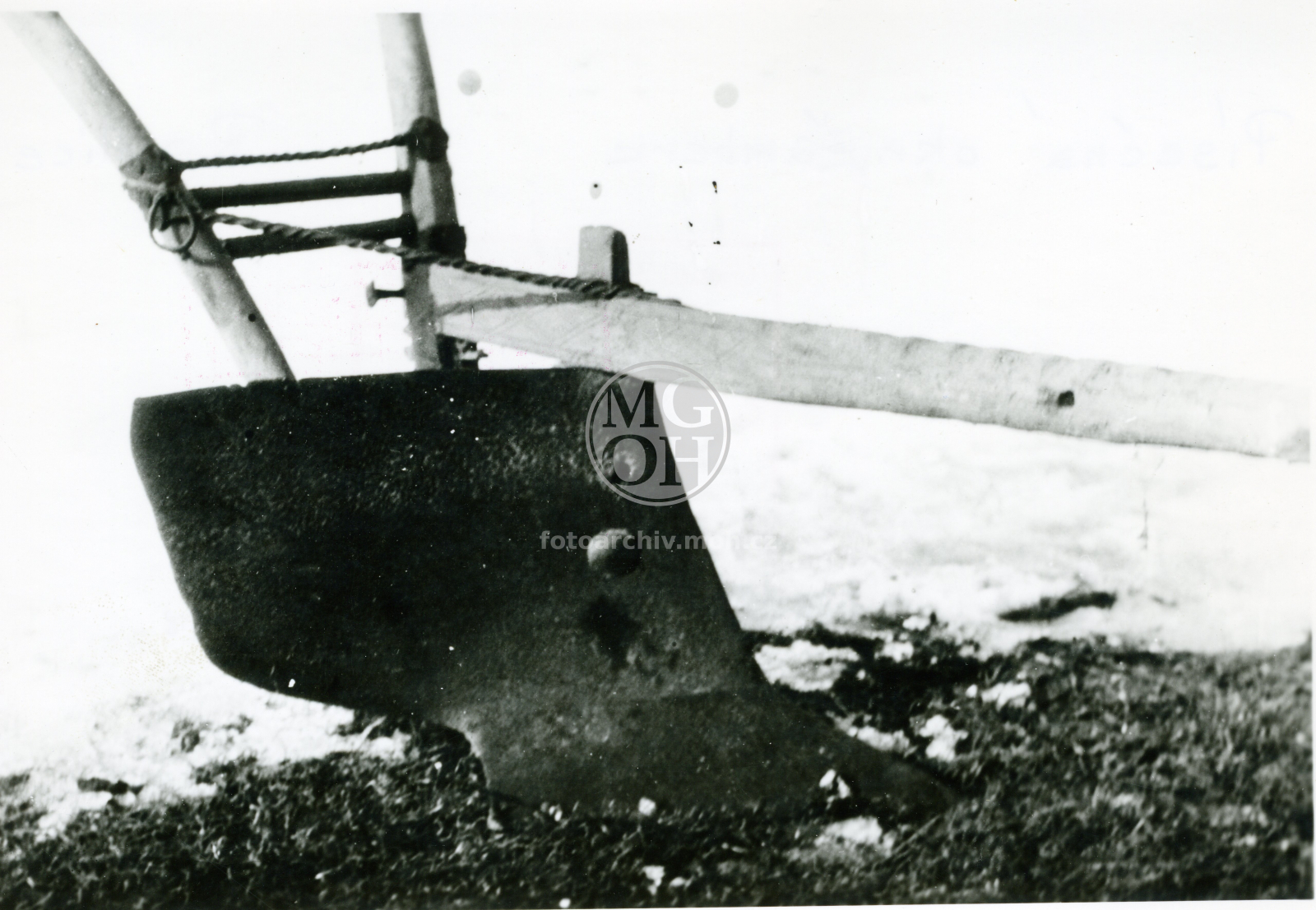 Fotografie - Radlice