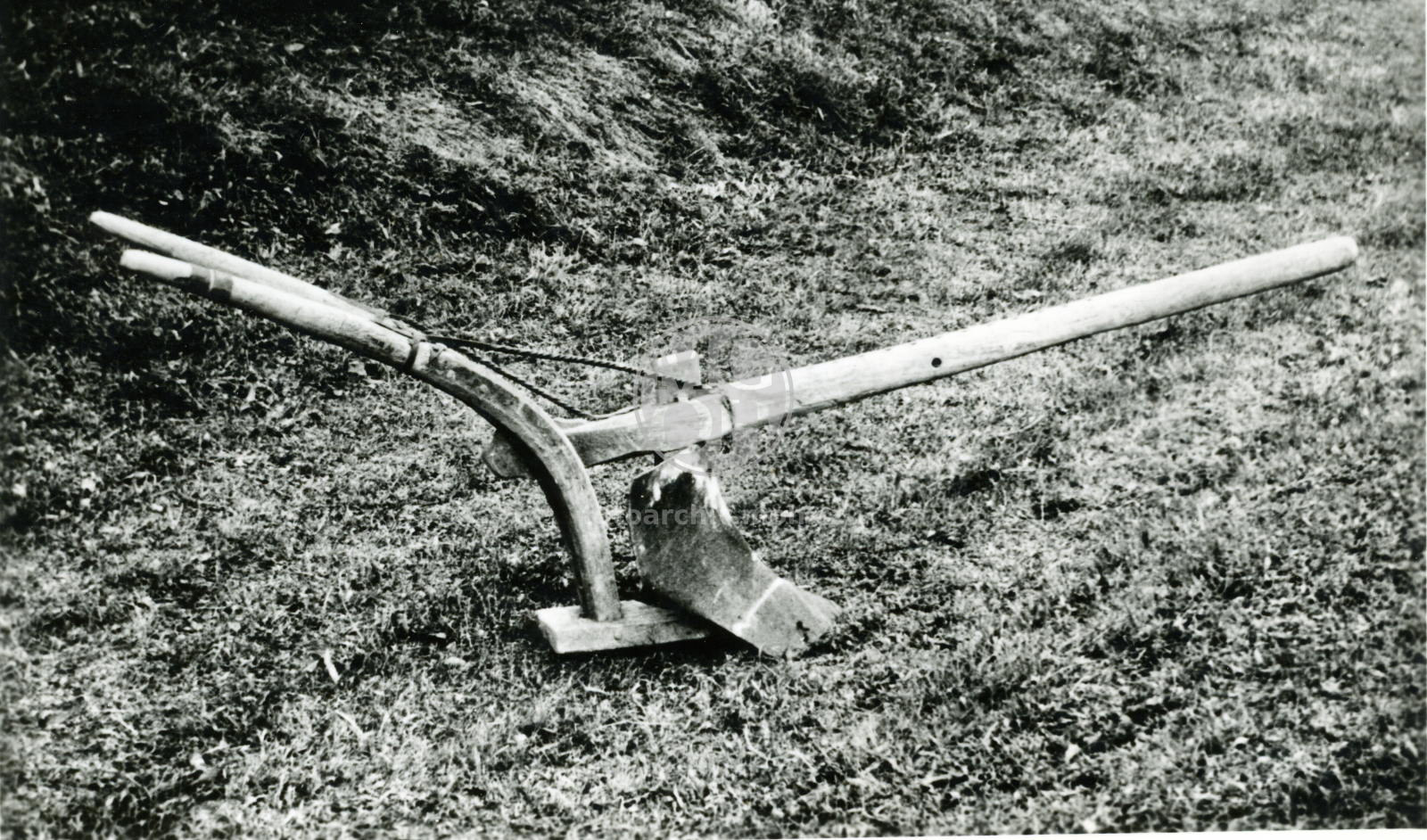 Fotografie - Oradlo "záhoňák"