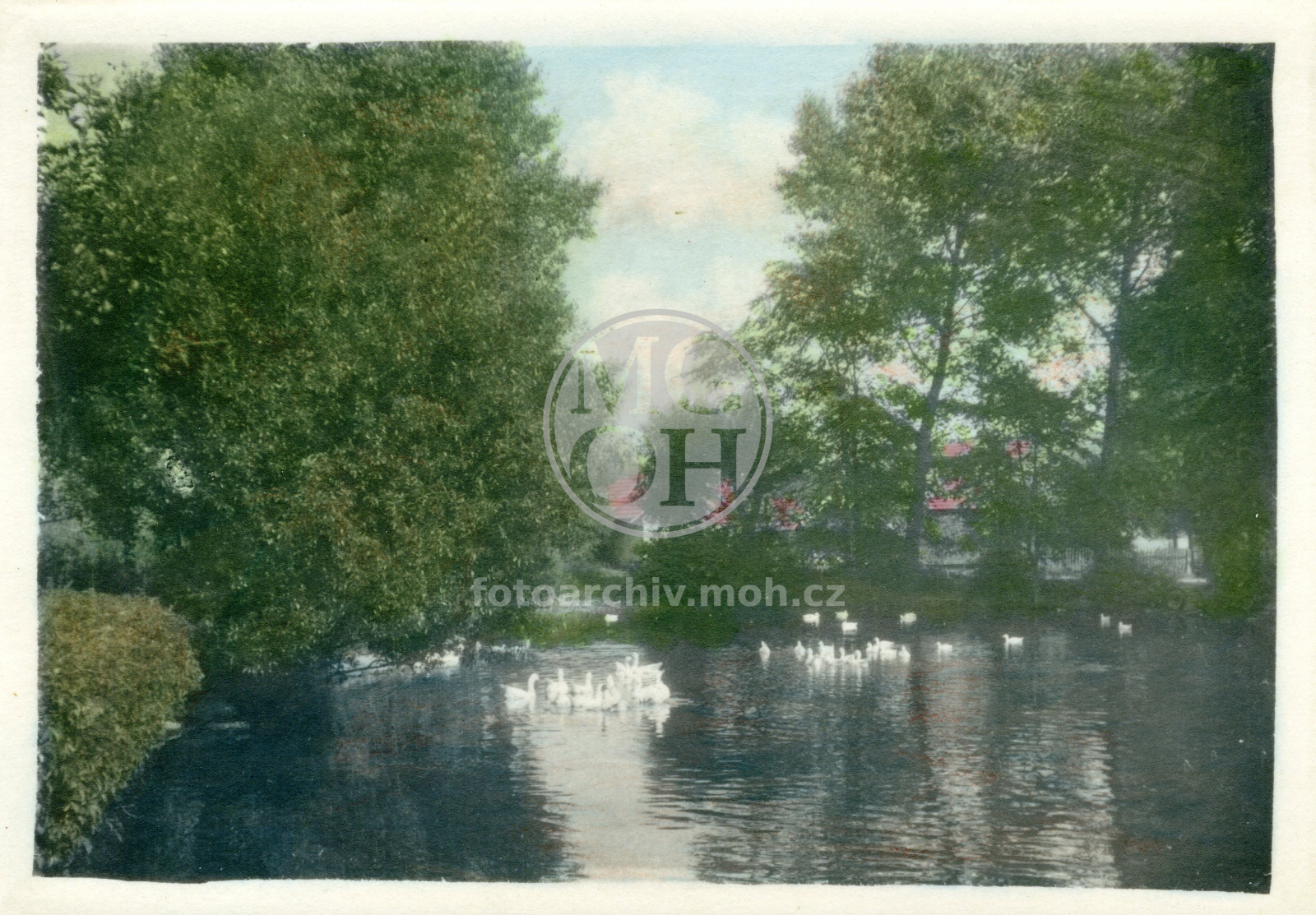 Fotografie - Rybníček ke brodění koní