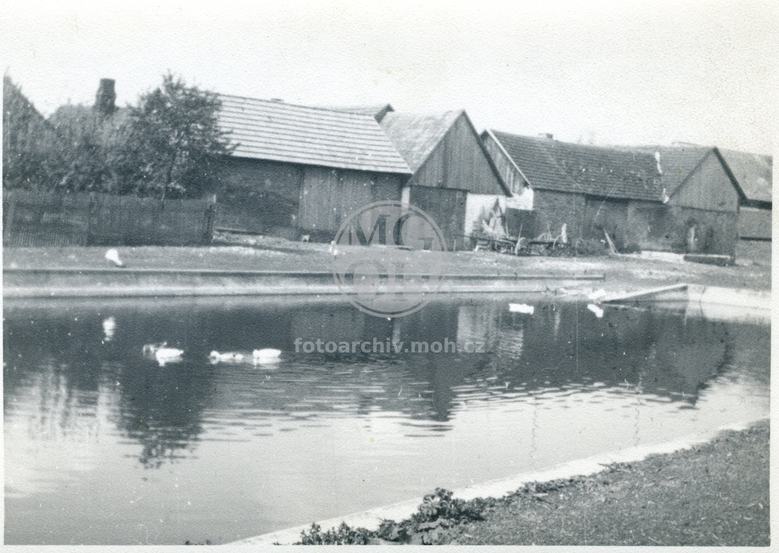 Fotografie - Obecní rybník po opravě r. 1935