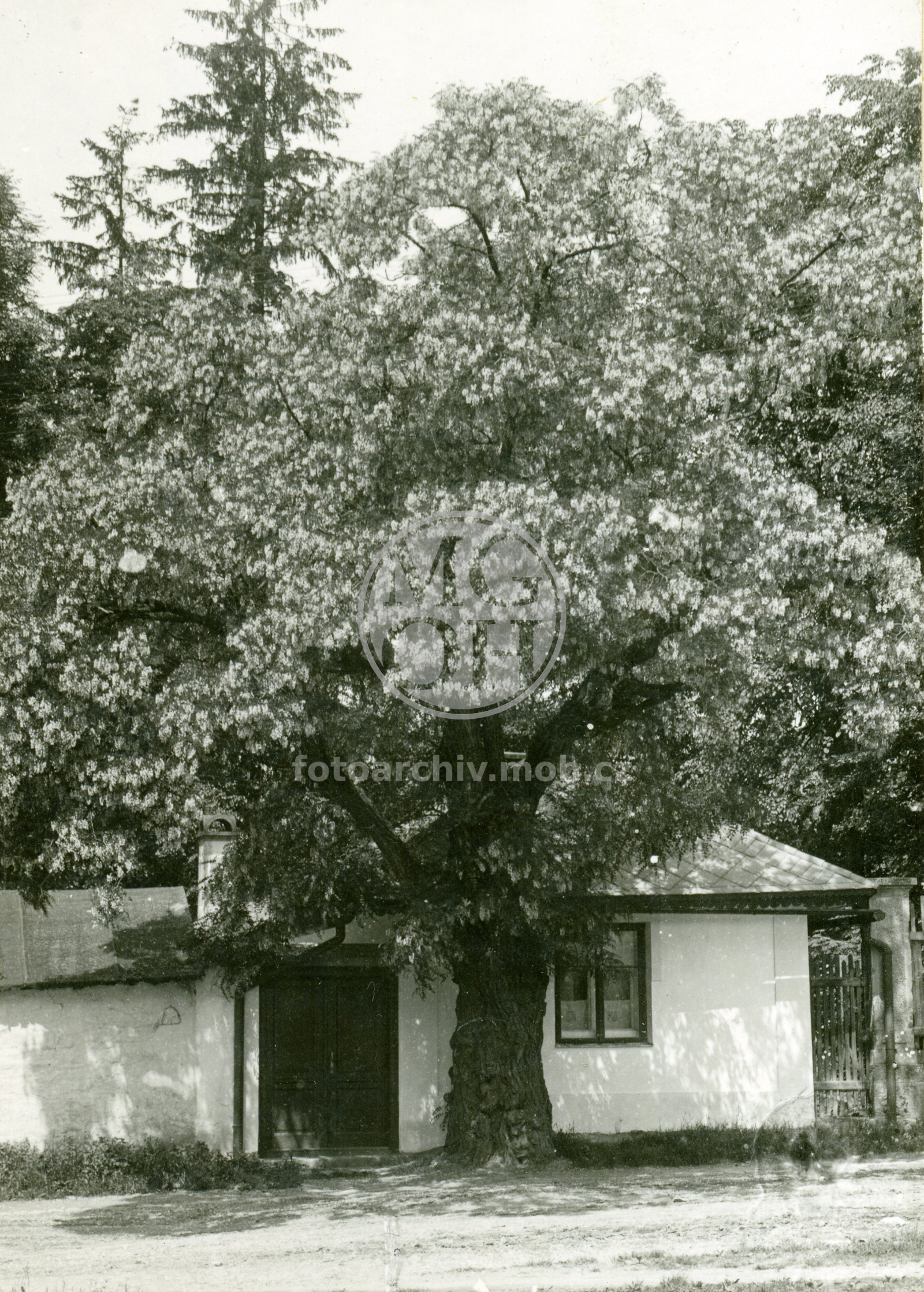 Fotografie - Dům čp. _33, proti chlapecké  škole