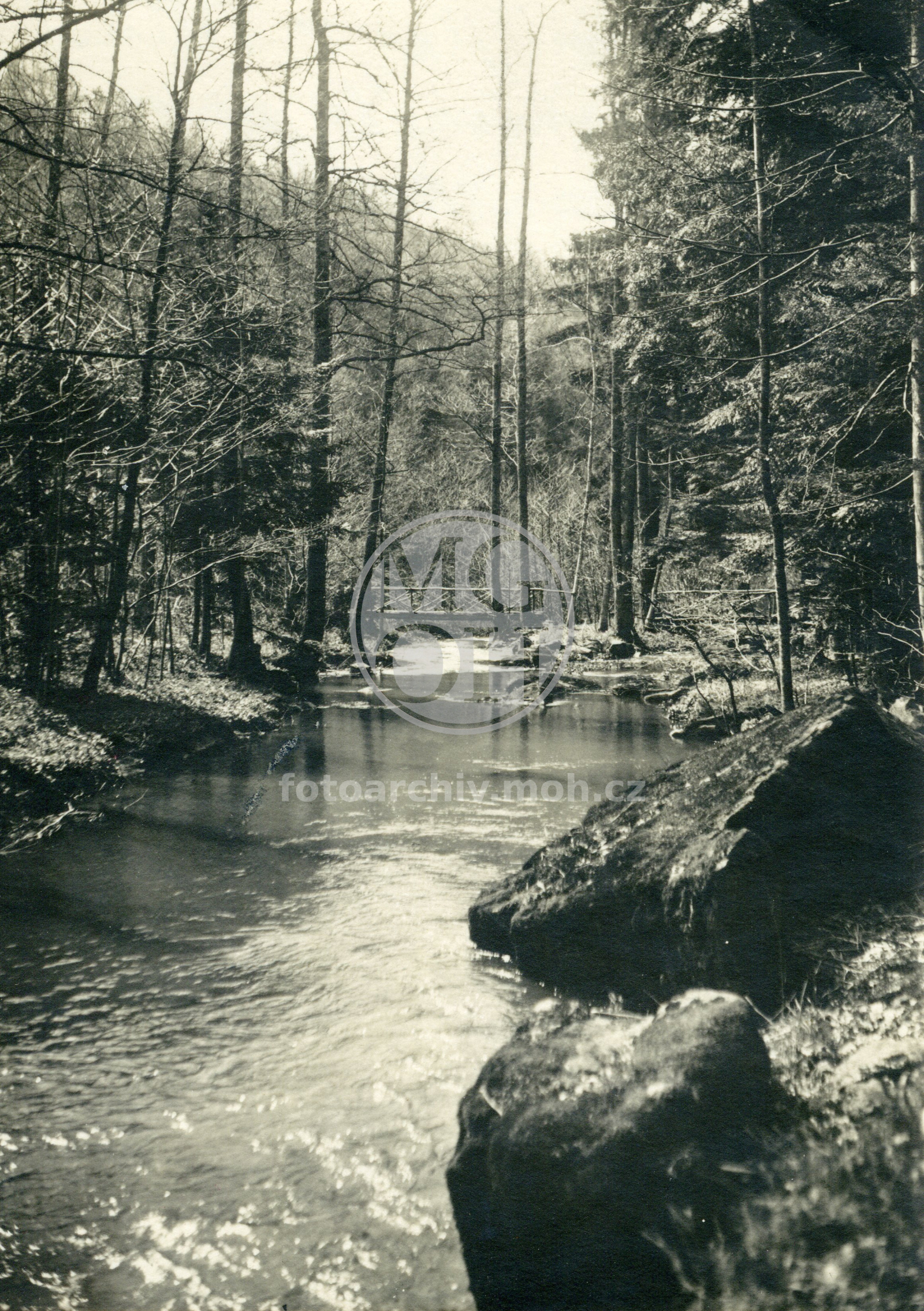 Fotografie - Včelný u Javornického potoka