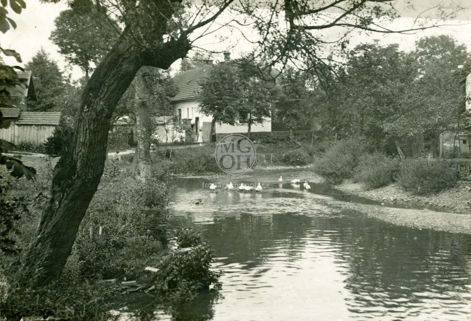 Fotografie - Kněžna před regulací