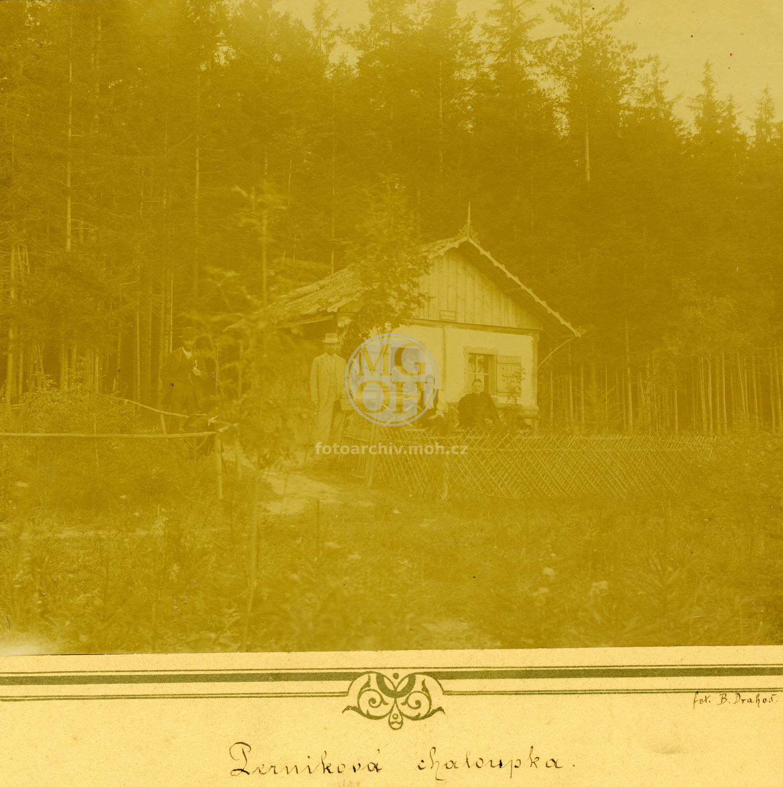 Fotografie - Perníková chaloupka  ve Včelném