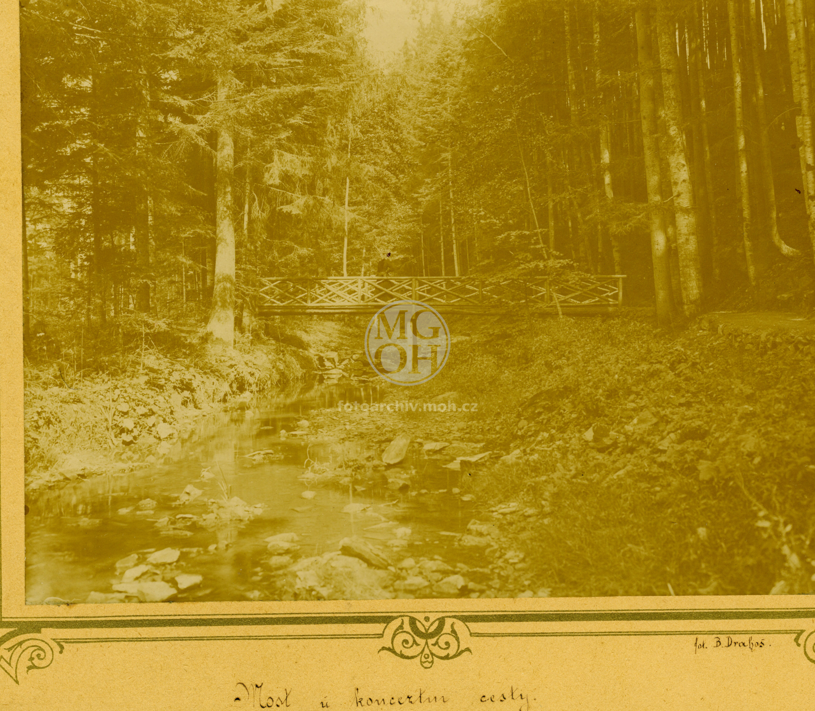 Fotografie - Včelný, dřevěný  most