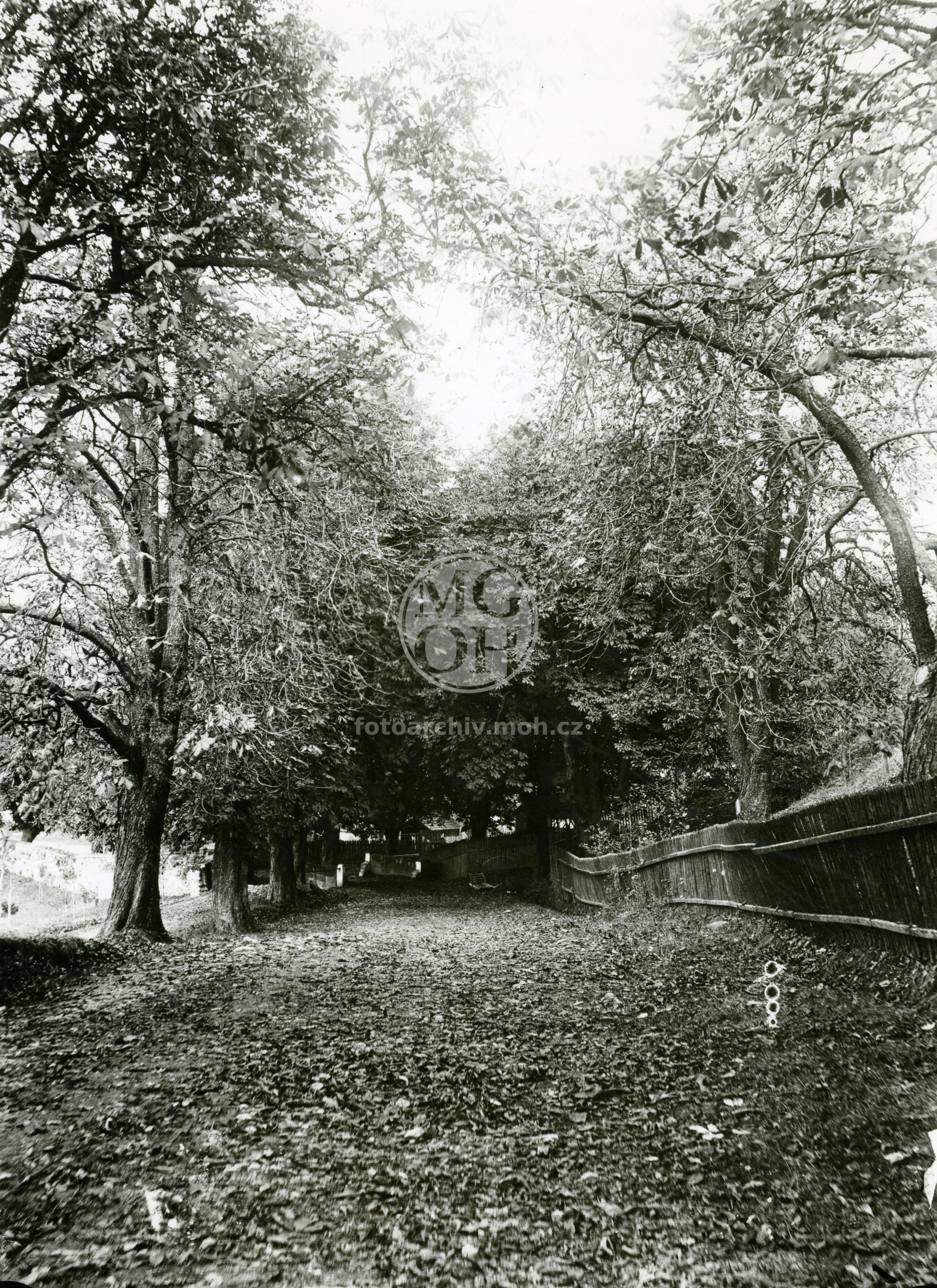 Fotografie - Cesta "V kaštanech"    na Dubince, před pivovarem