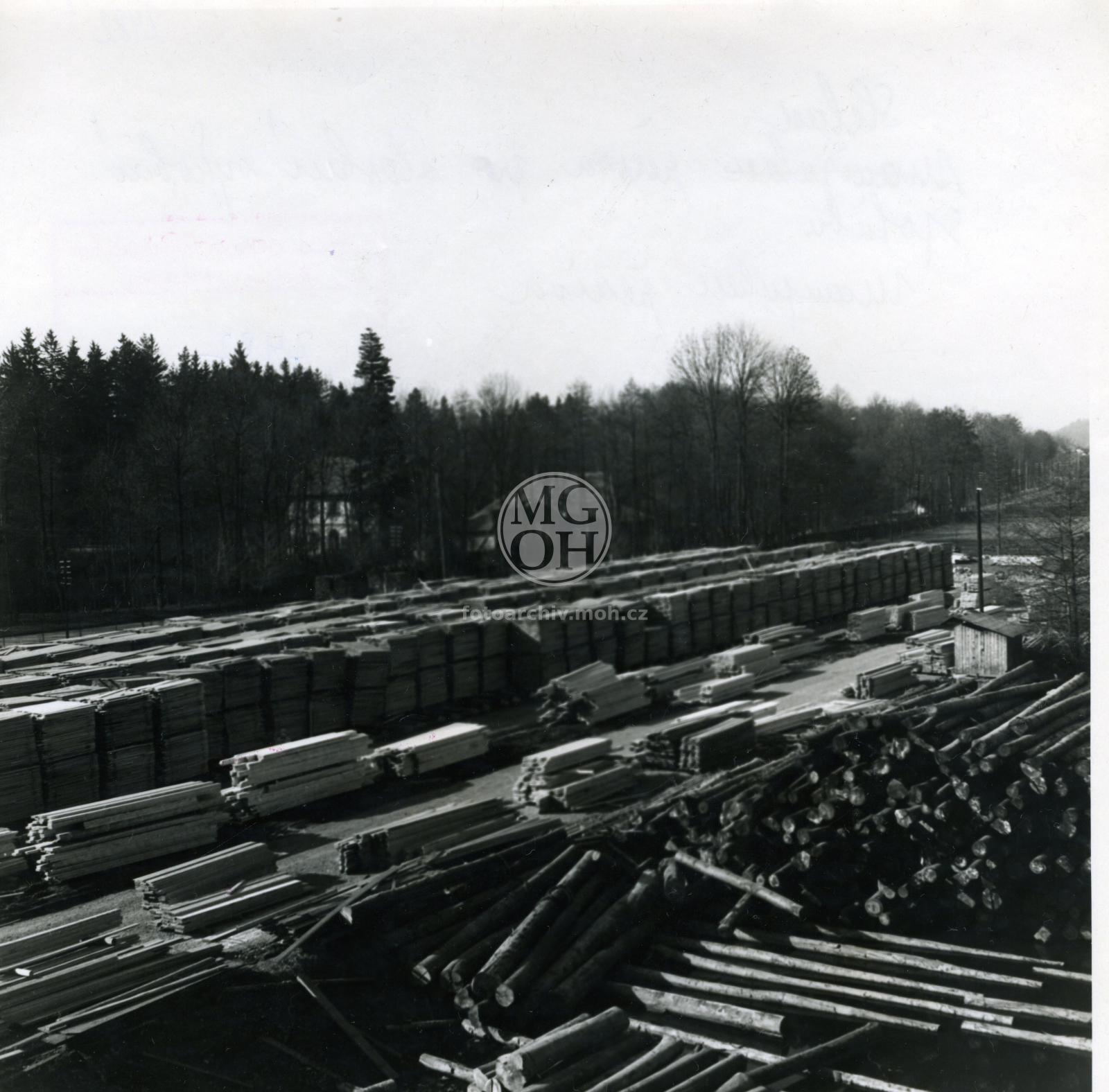 Fotografie - Práce na pile