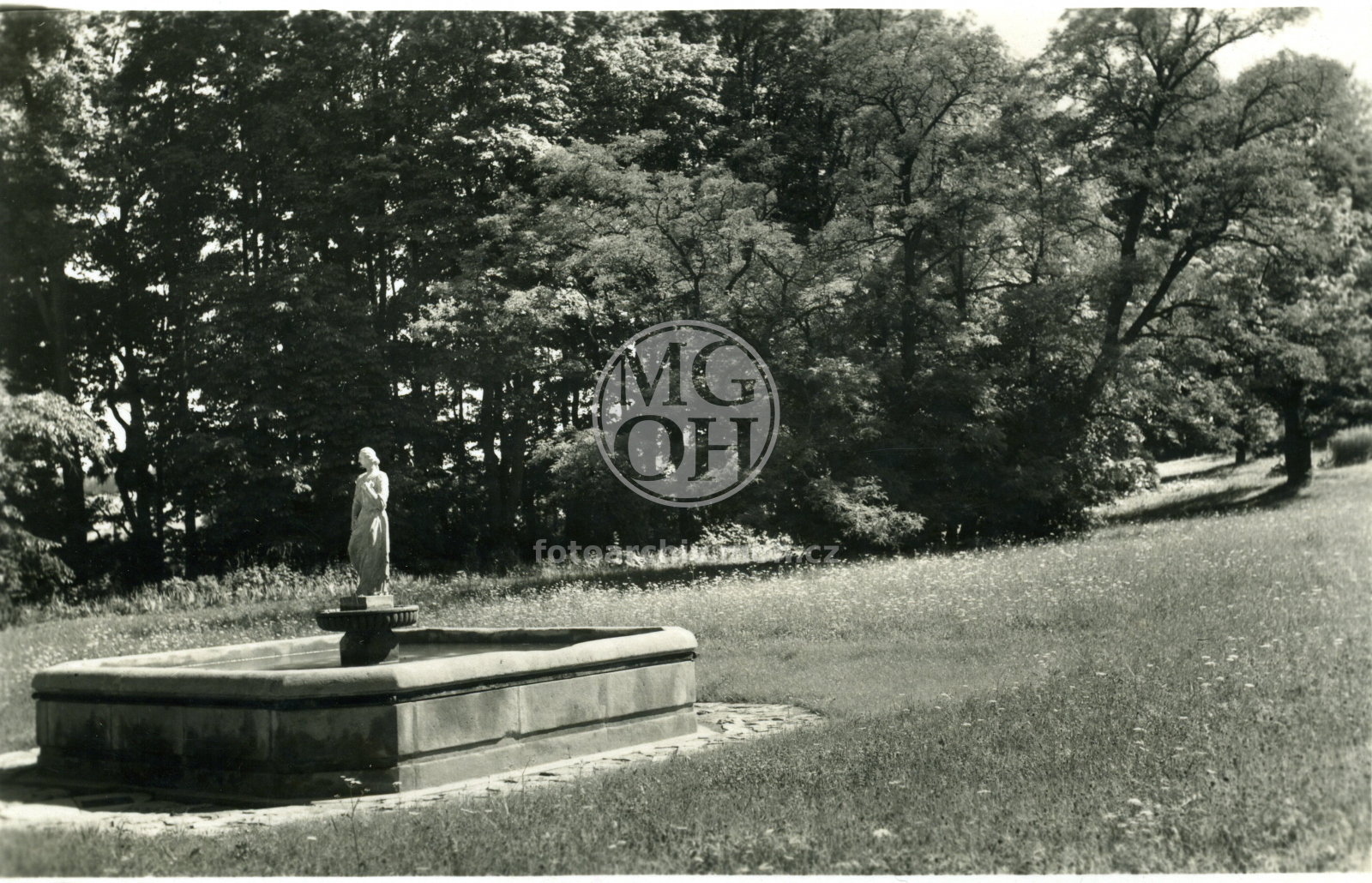 Fotografie - Pohled a detail