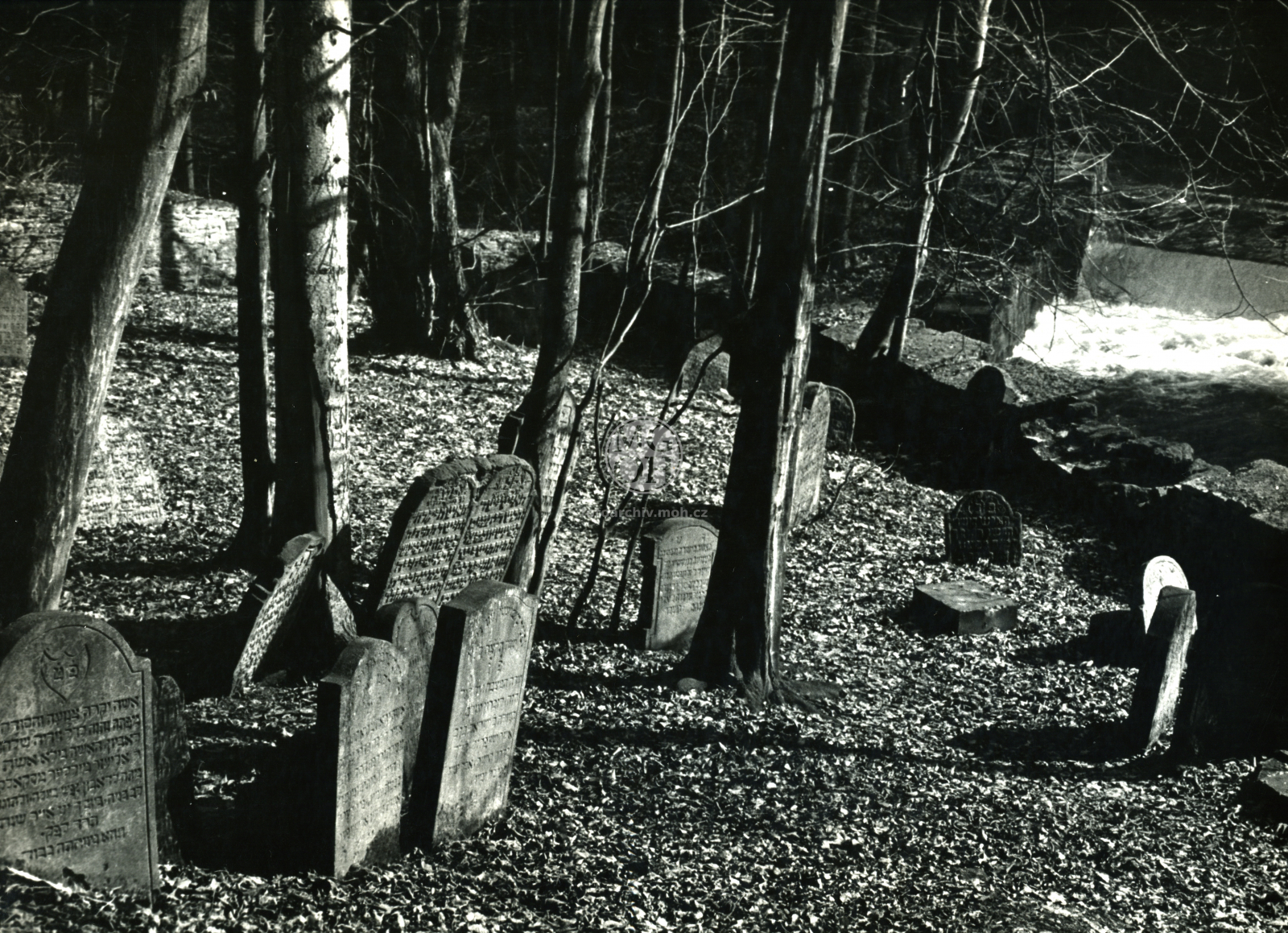 Fotografie - Zámek, židiovský hřbitov