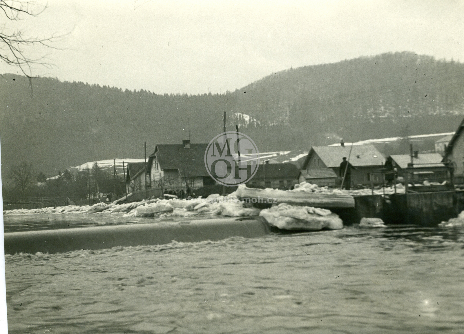 Fotografie - Ledy na Divoké Orlici