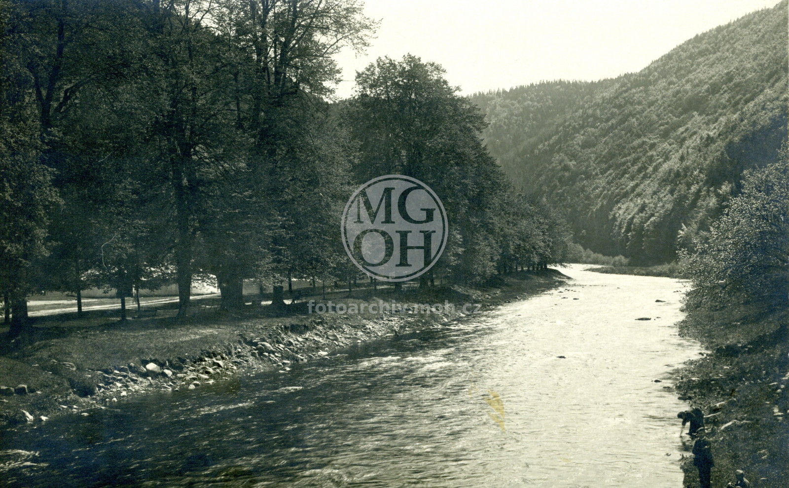 Fotografie - Alej pod lípami