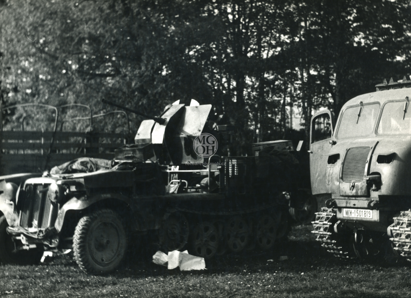 Fotografie - Květ. slavné dny