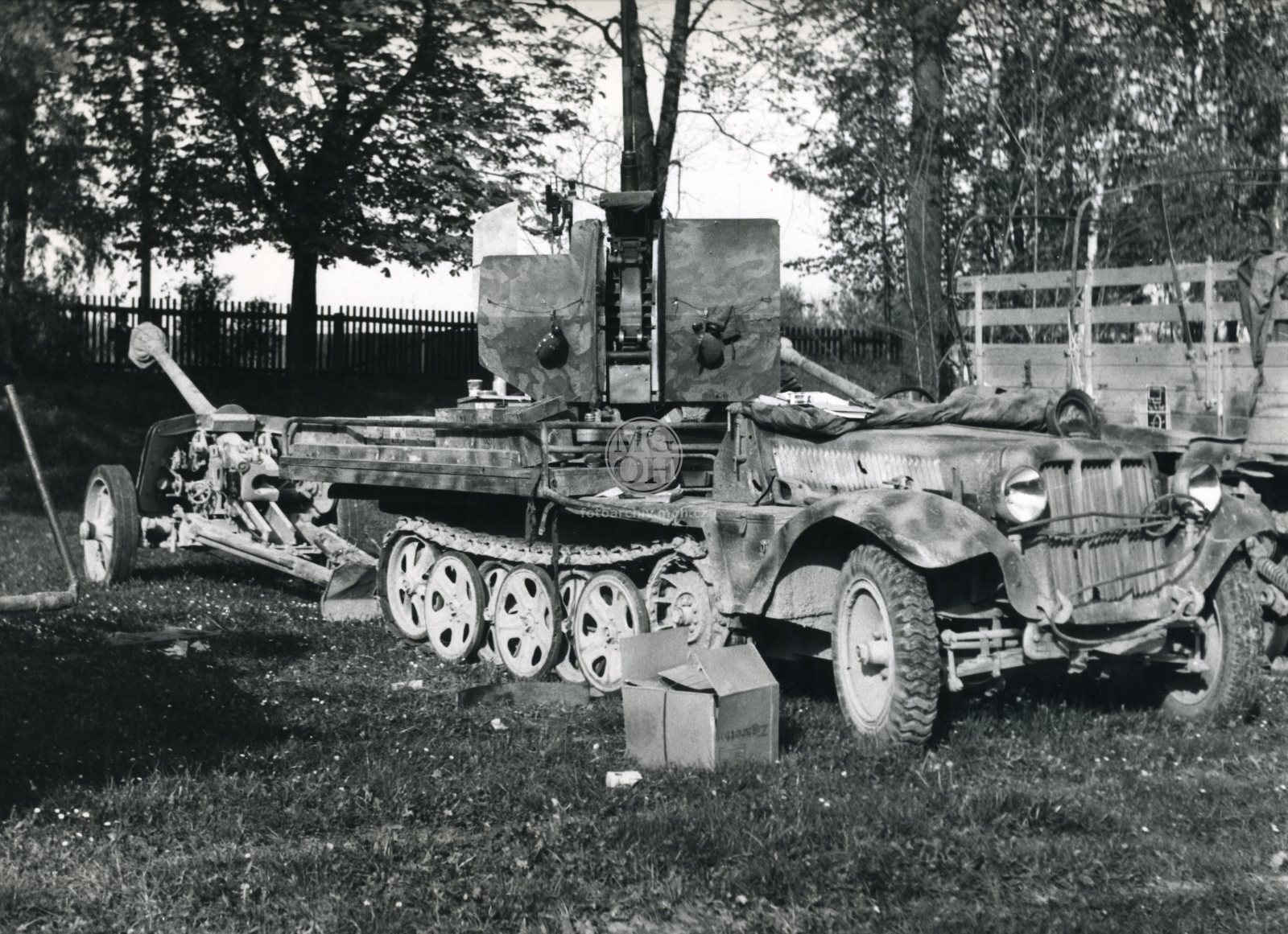 Fotografie - Květ. slavné dny