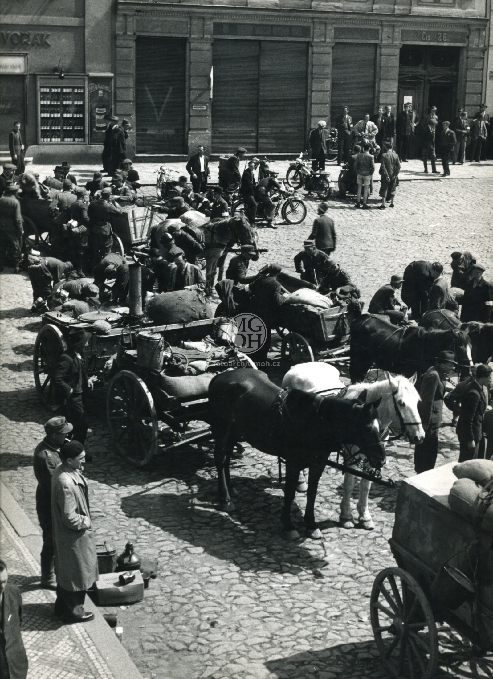Fotografie - Květ. slavné dny