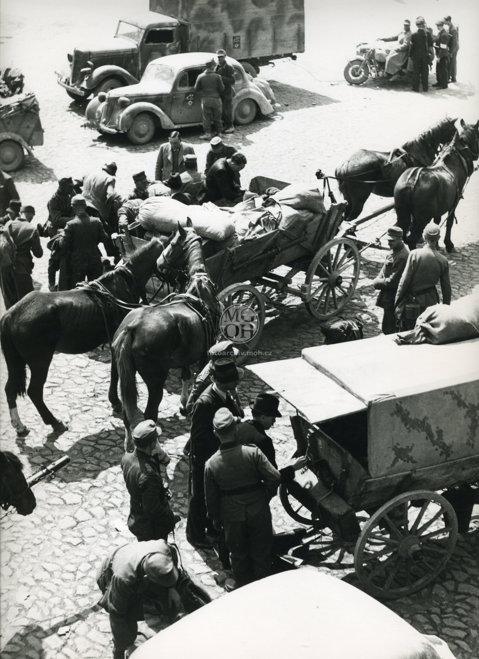 Fotografie - Květ. slavné dny