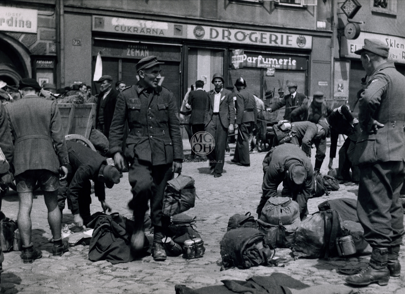 Fotografie - Květ. slavné dny