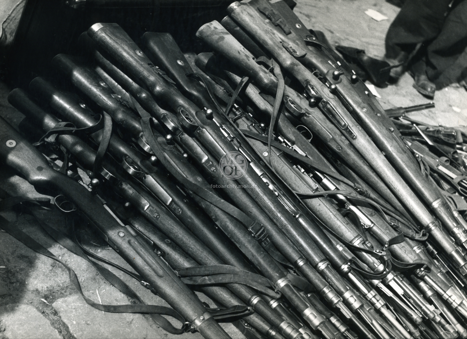 Fotografie - Květ. slavné dny