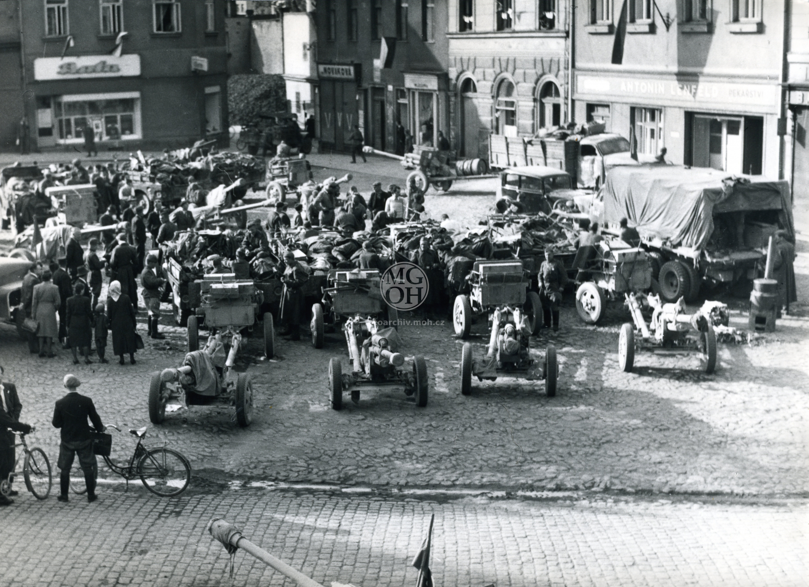 Fotografie - Květ. slavné dny