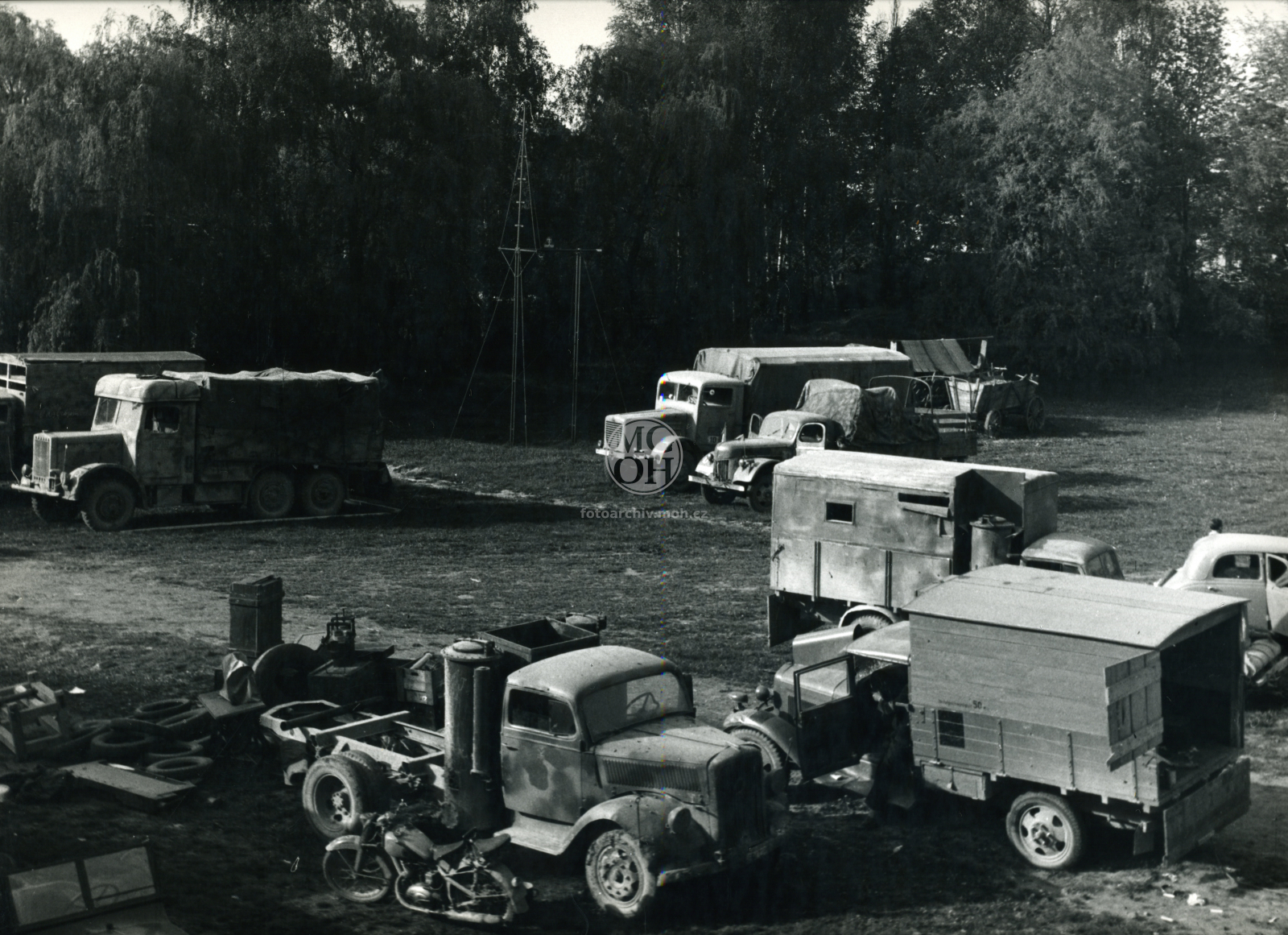 Fotografie - Květ. slavné dny