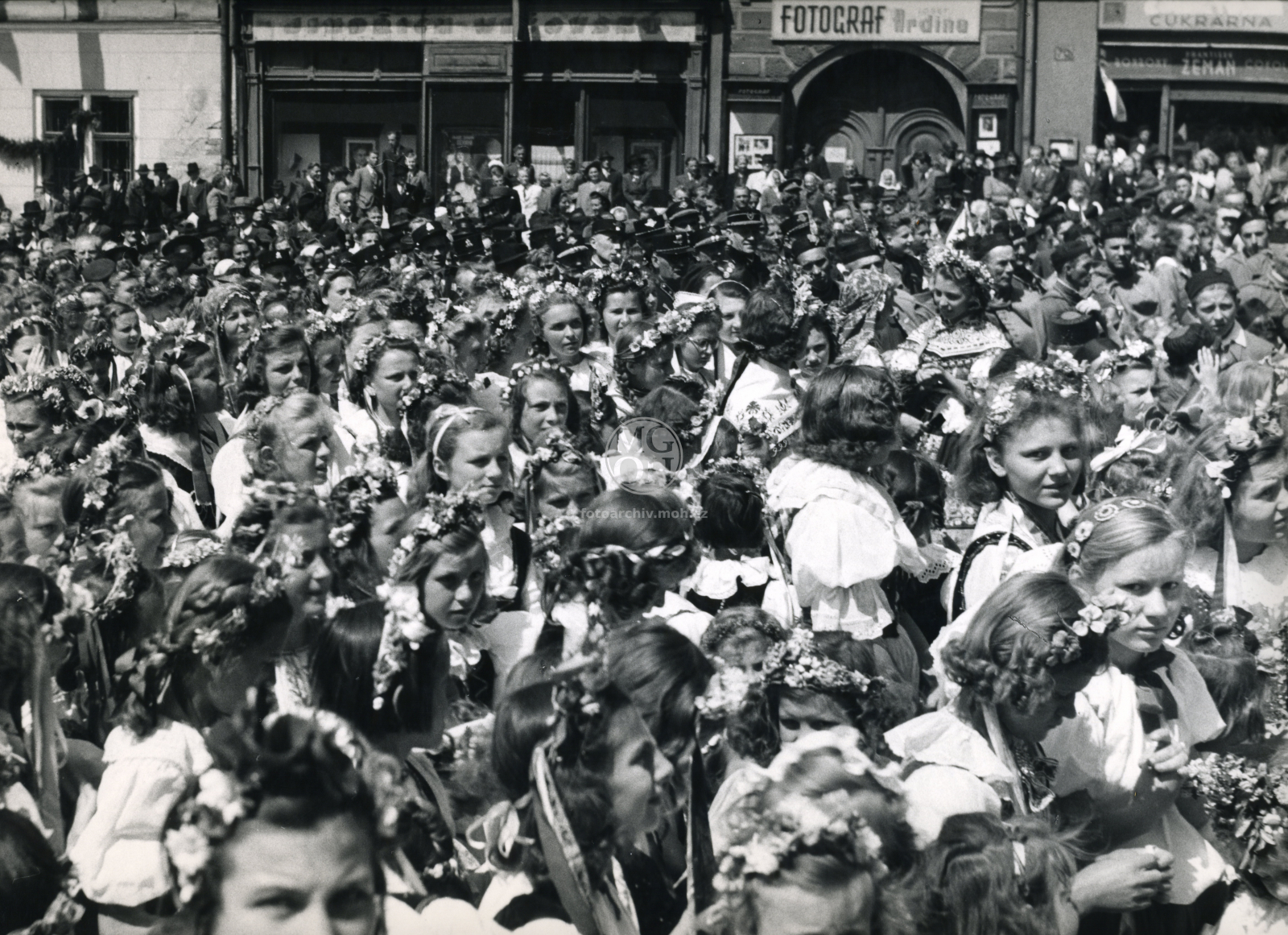 Fotografie - Květ. slavné dny