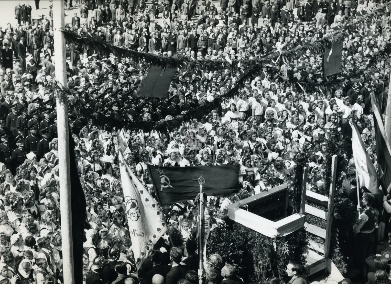 Fotografie - Květ. slavné dny