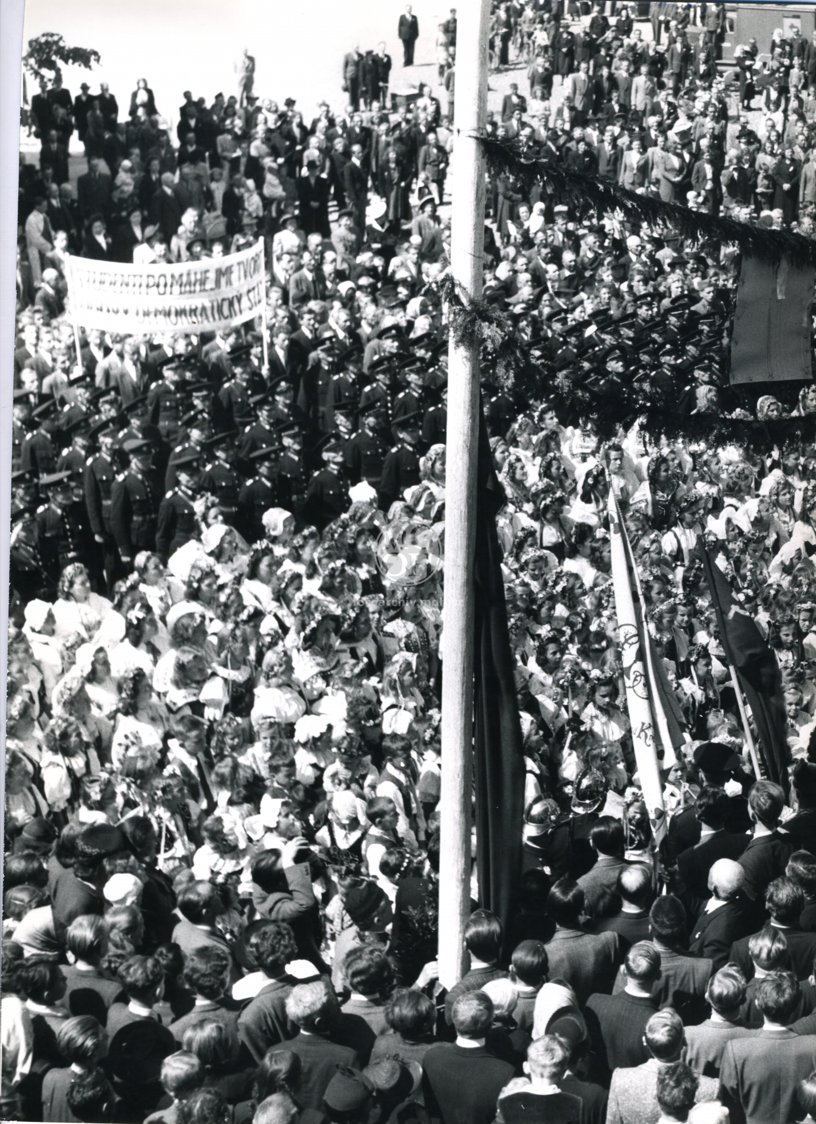 Fotografie - Květ. slavné dny