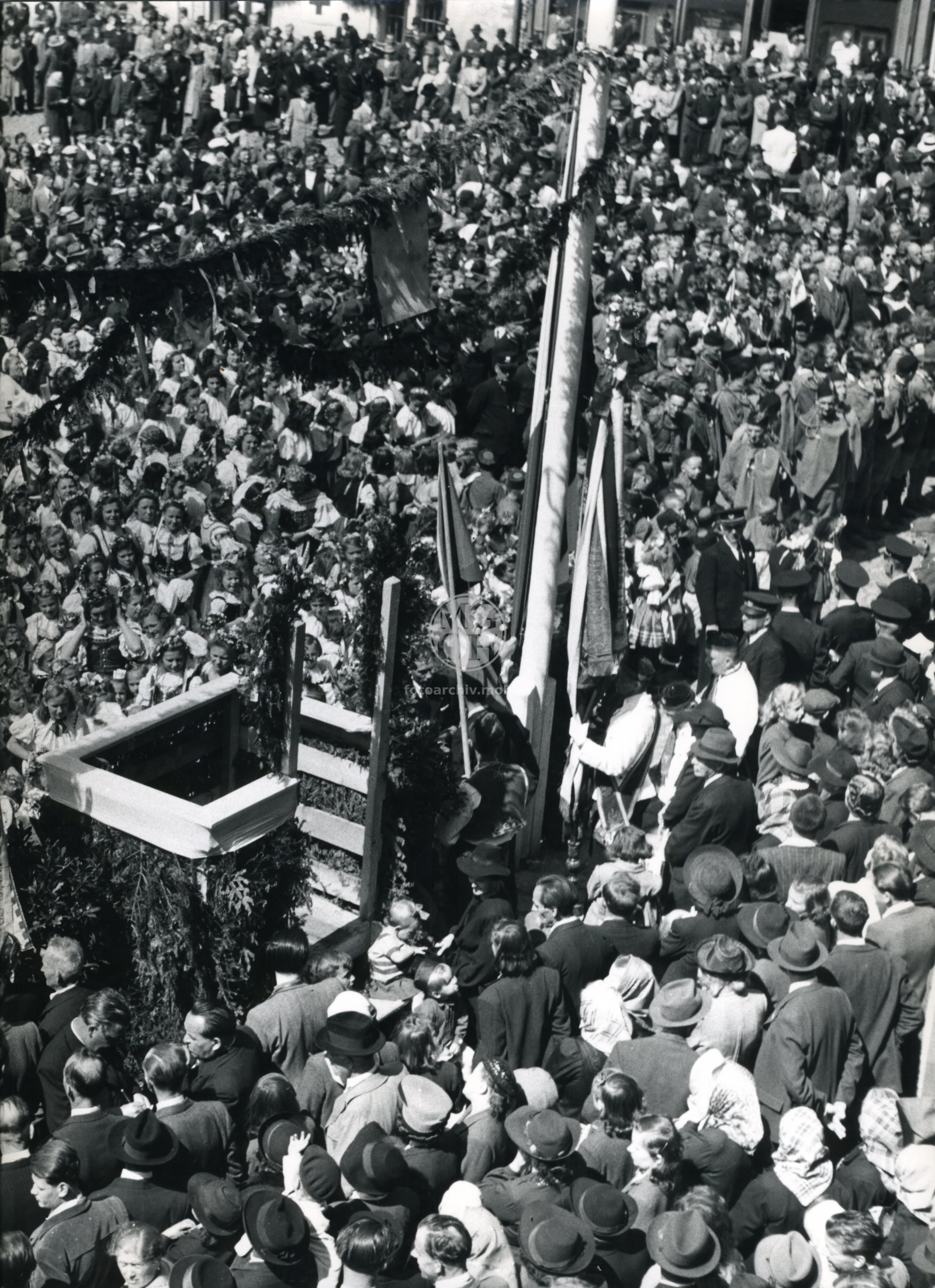 Fotografie - Květ. slavné dny