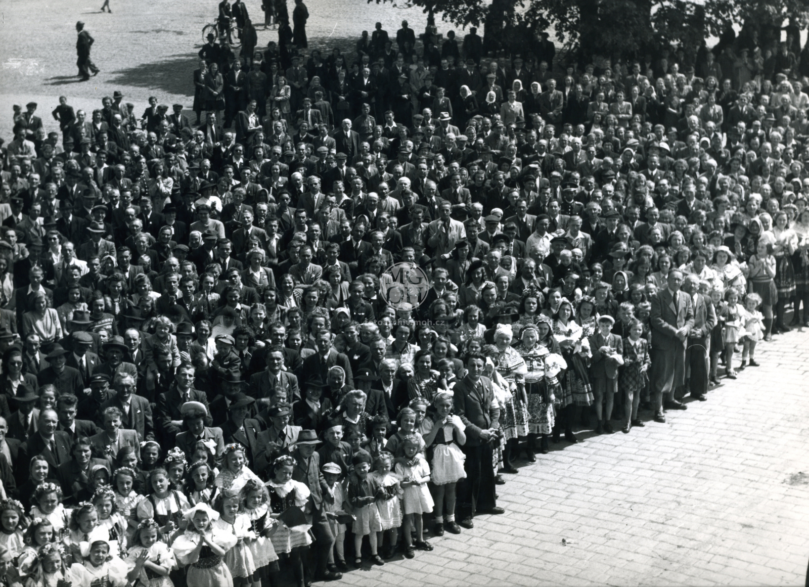 Fotografie - Květ. slavné dny