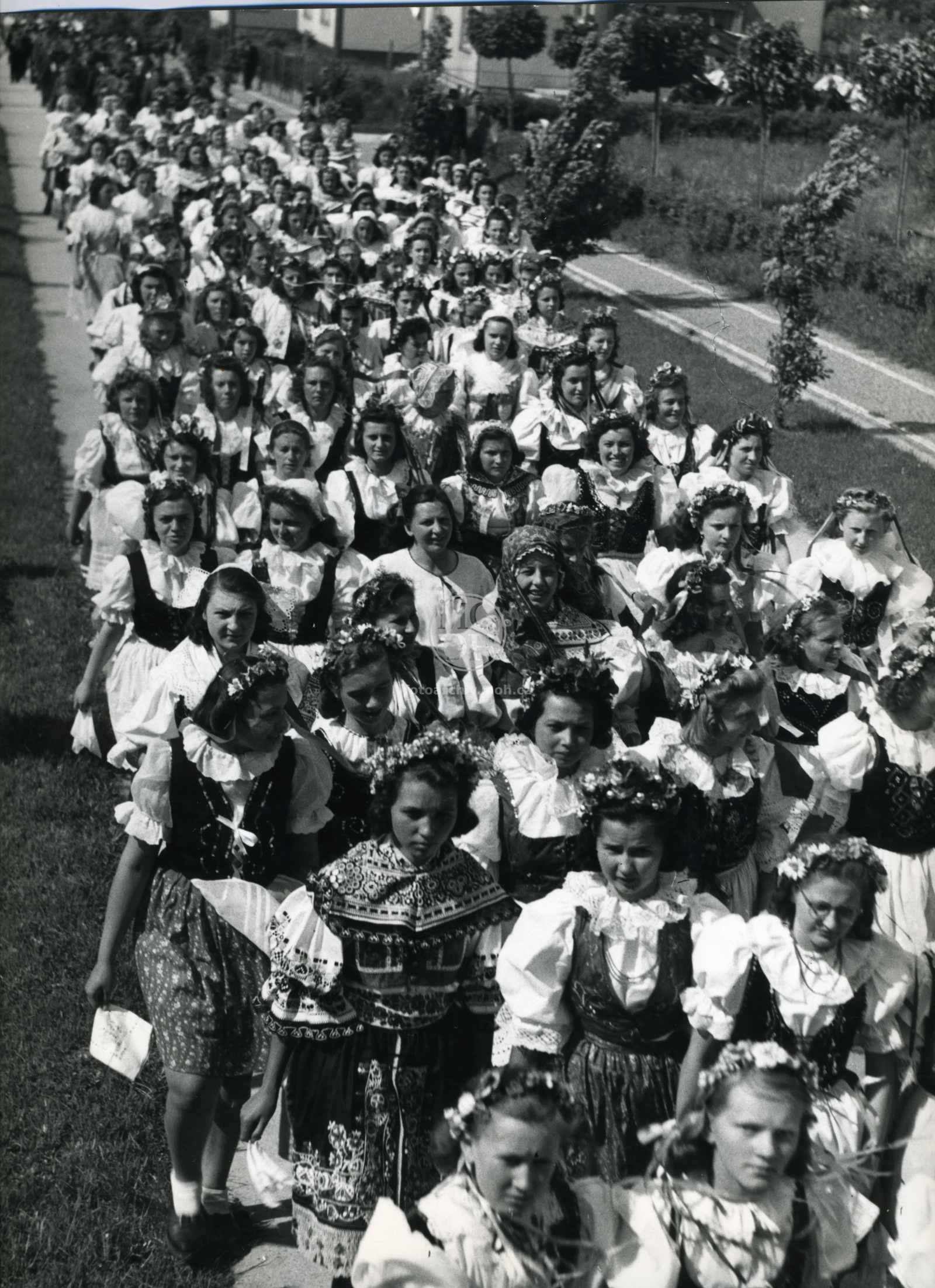 Fotografie - Květ. slavné dny