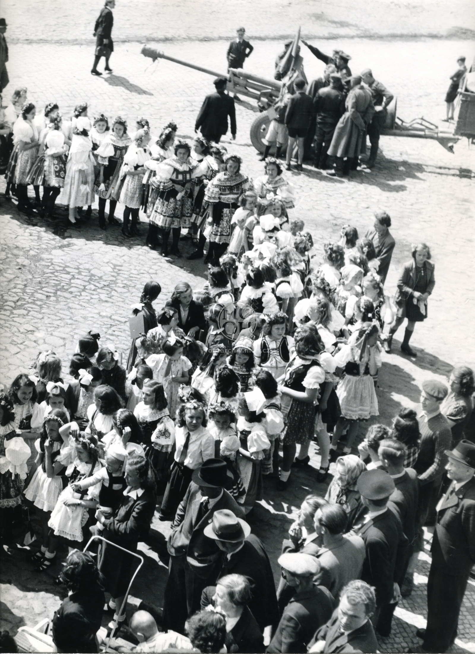 Fotografie - Květ. slavné dny