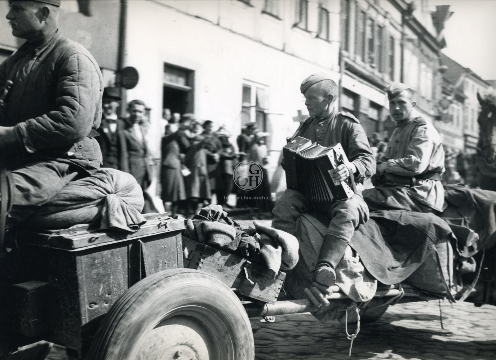 Fotografie - Květ. slavné dny