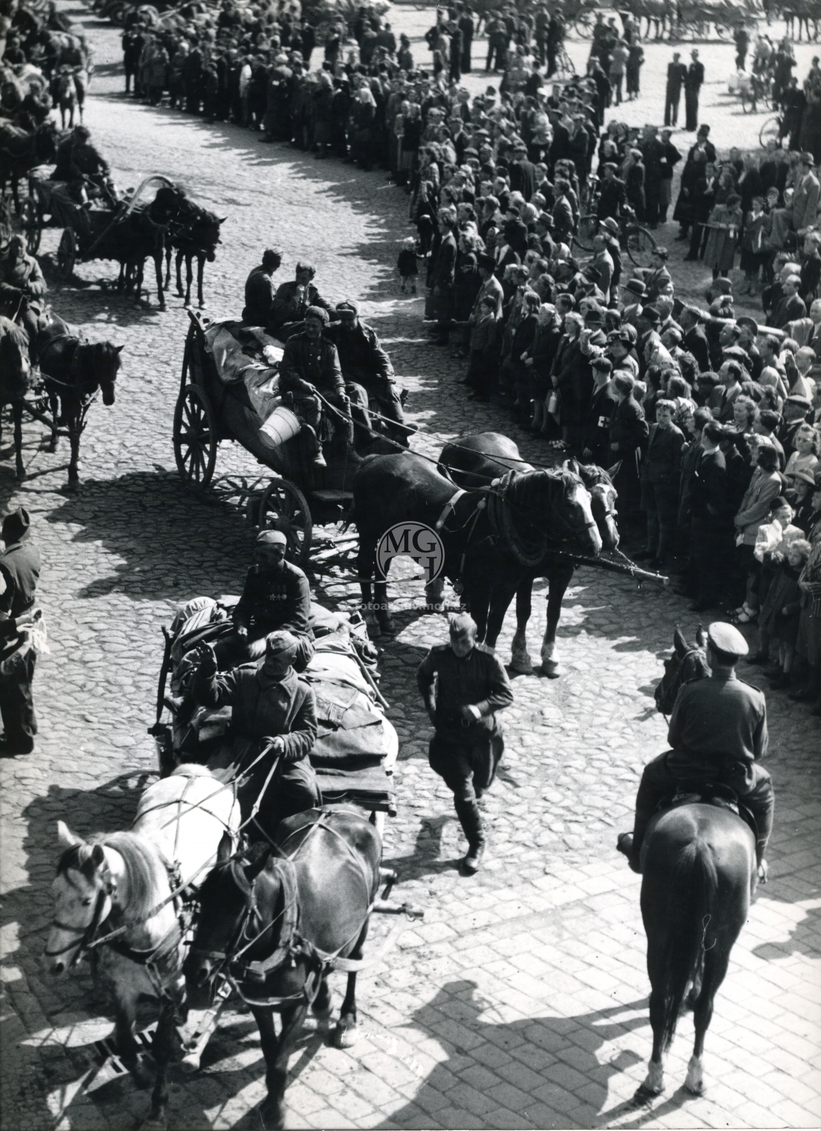 Fotografie - Květ. slavné dny