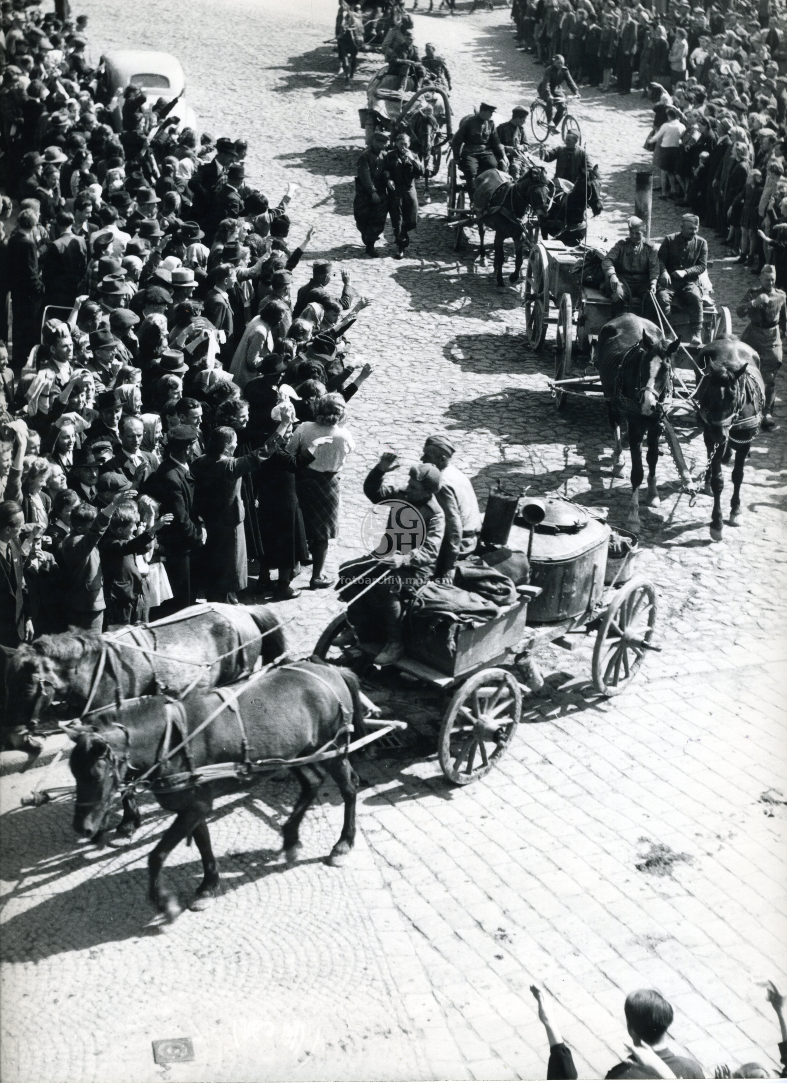 Fotografie - Květ. slavné dny