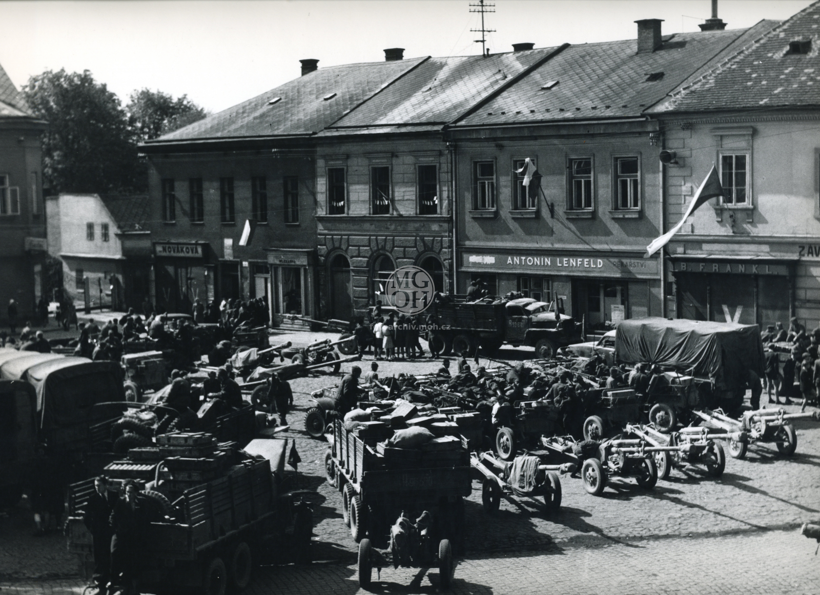Fotografie - Květ. slavné dny