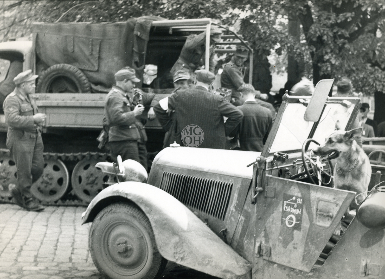 Fotografie - Květ. slavné dny