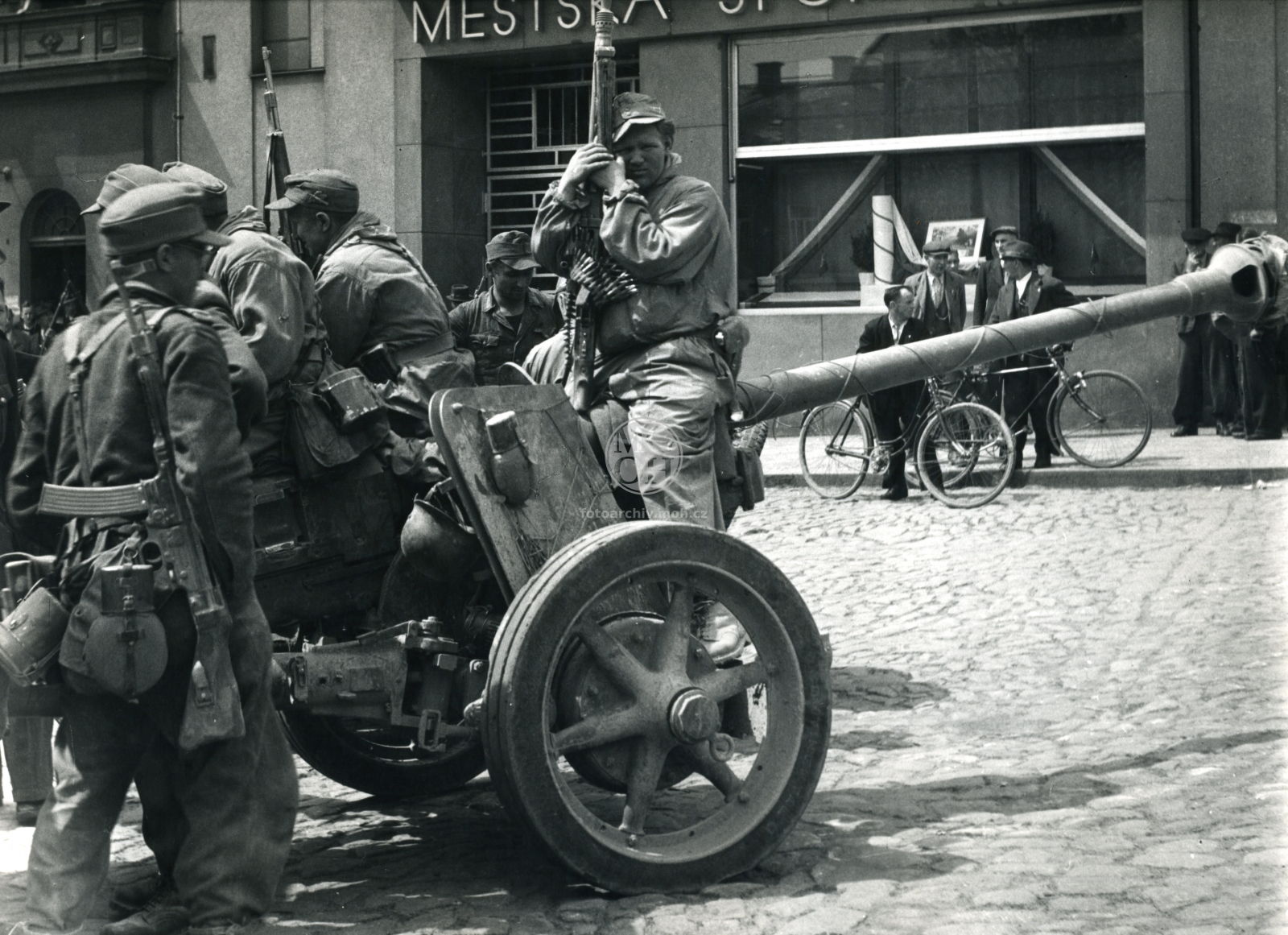Fotografie - Květ. slavné dny
