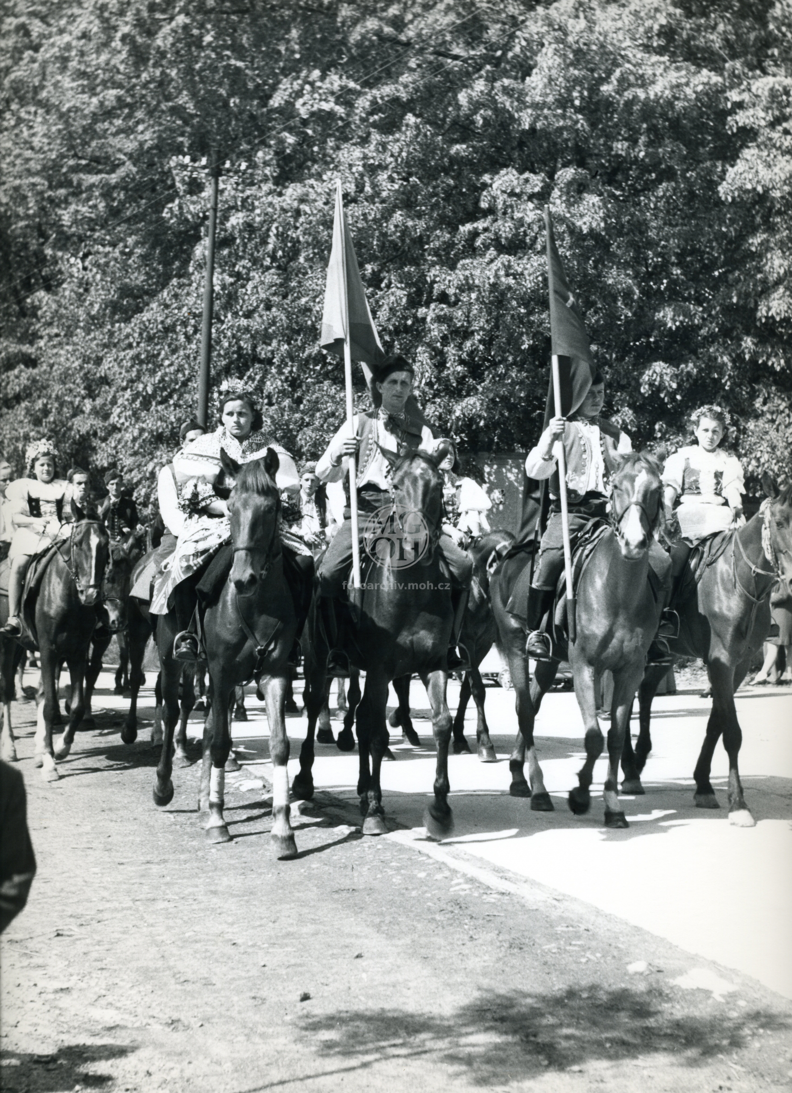 Fotografie - Květ. slavné dny