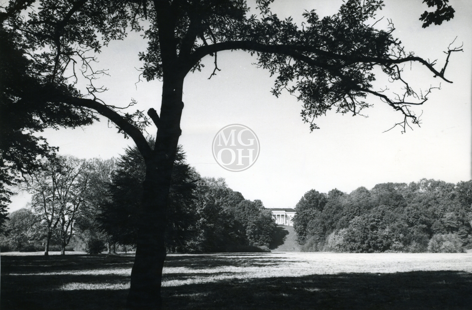 Fotografie - Zámek z parku, sídliště