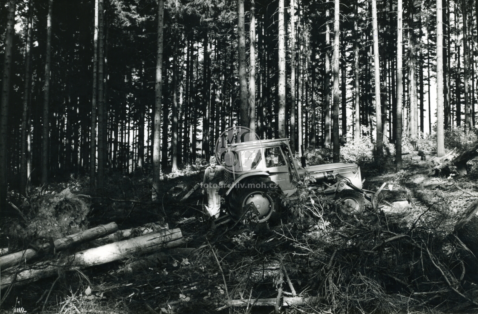 Fotografie - Práce v lese - přibližování  dřeva traktorem