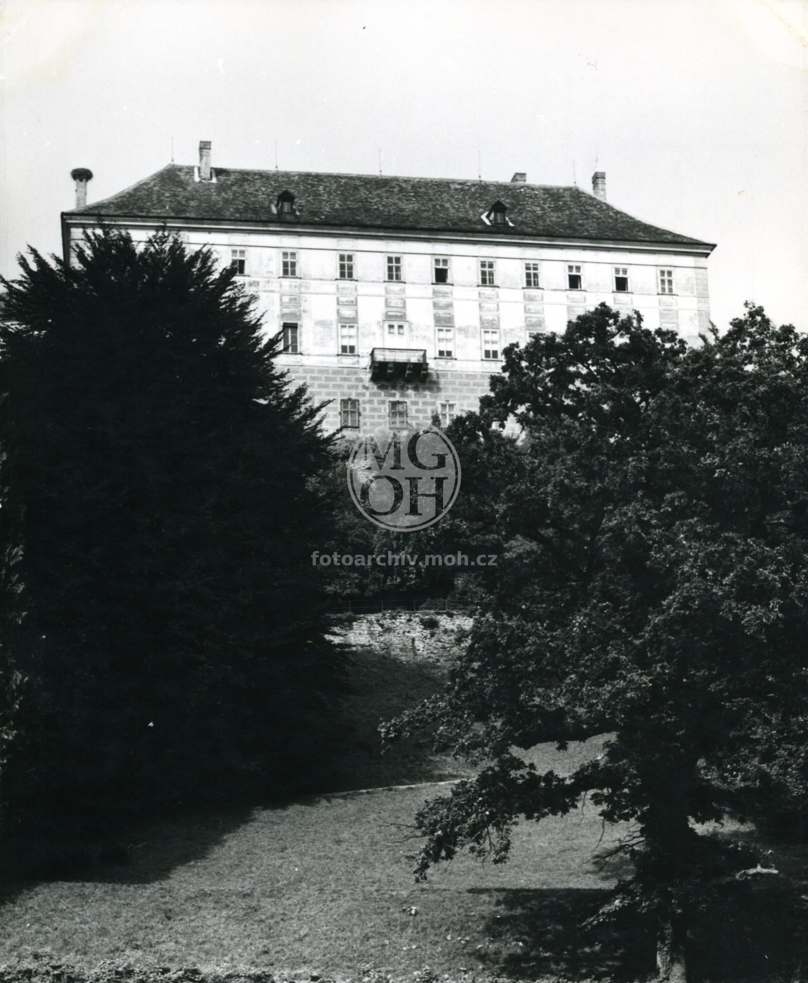 Fotografie - Zámek z parku